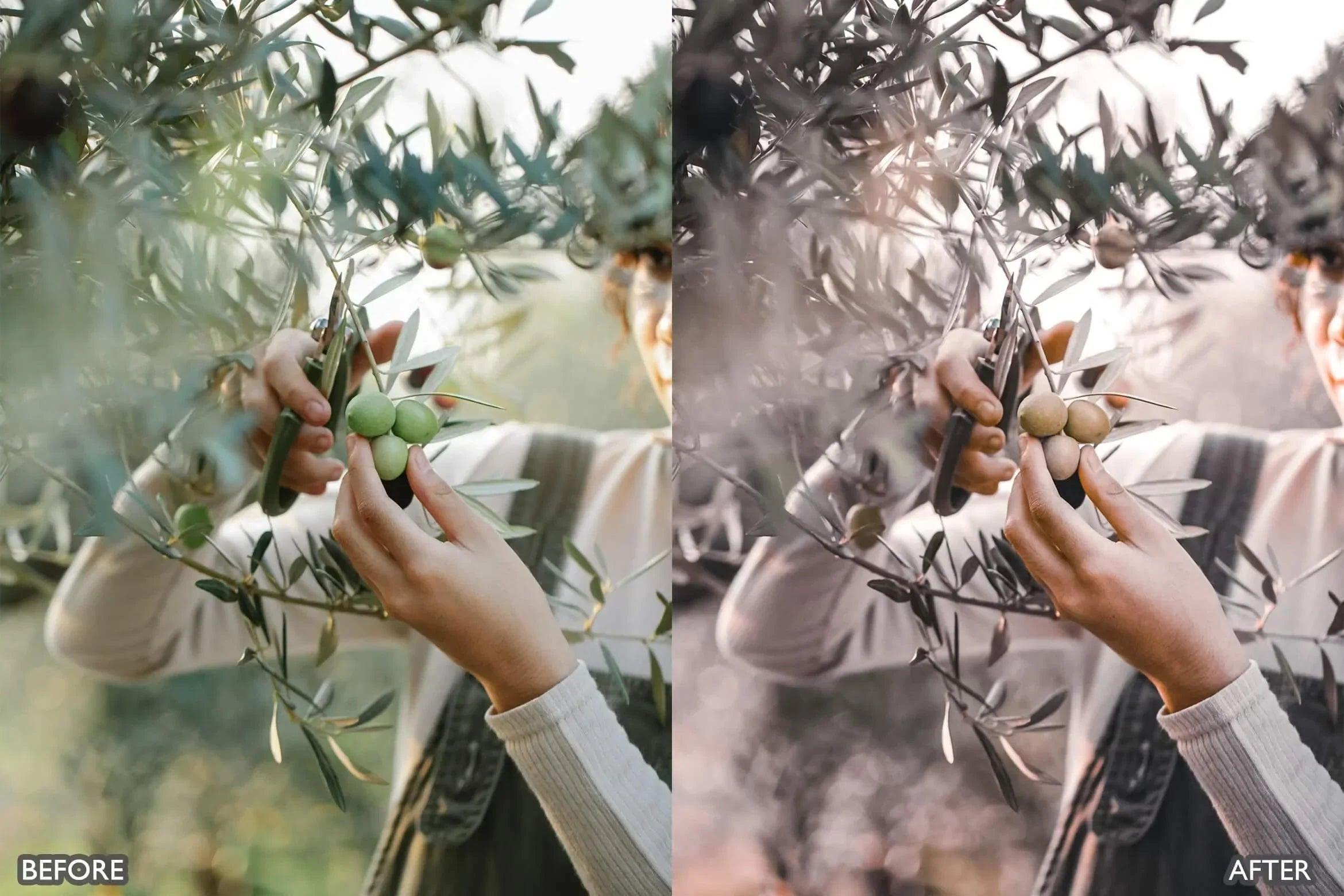 Brown Lightroom Presets For Outdoor Portraits - Lightroom Presets - by AAA Presets