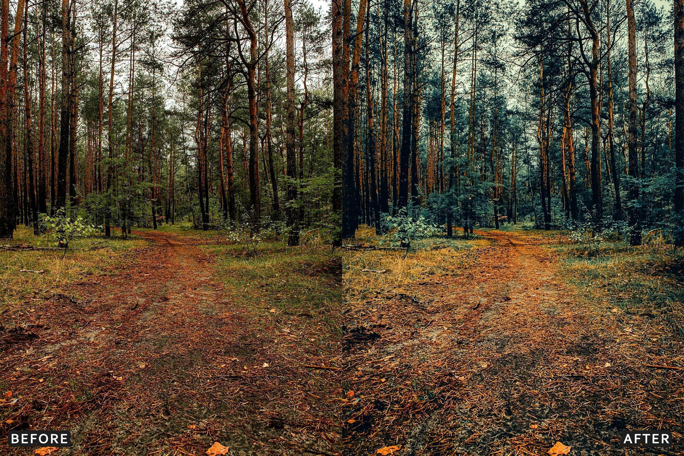 Cinematic Autumn Fall Lightroom Presets - Lightroom Presets - by AAA Presets