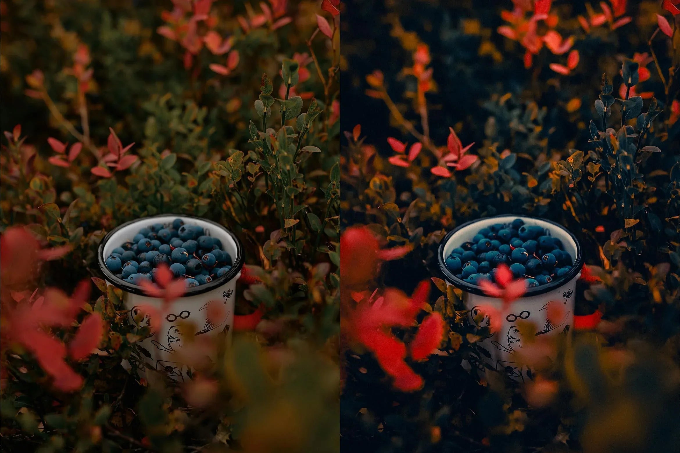 Cinematic Autumn Fall Lightroom Presets - Lightroom Presets - by AAA Presets