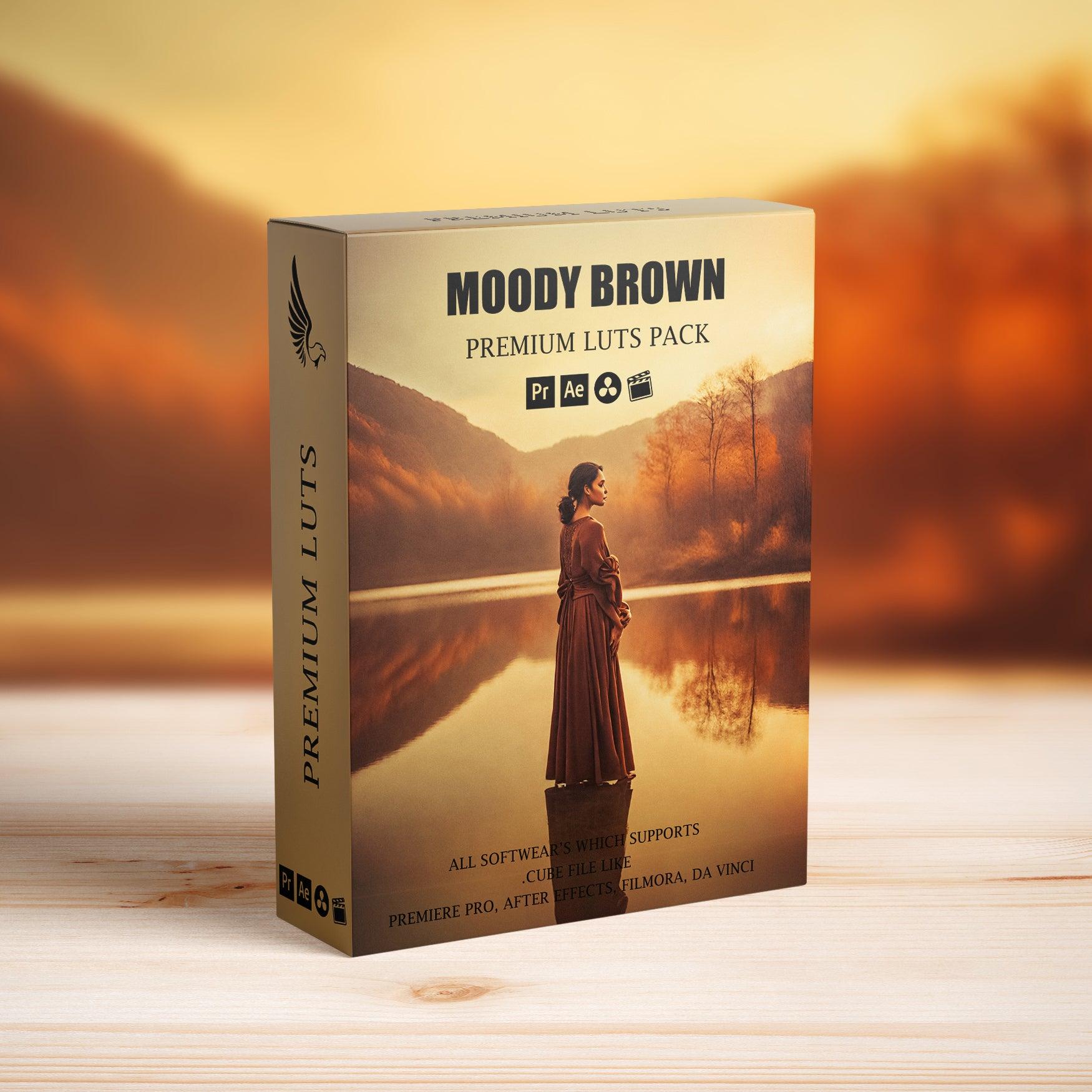 Cinematic Moody Brown Video Color Grading LUTs - Video LUTs - by AAA Presets