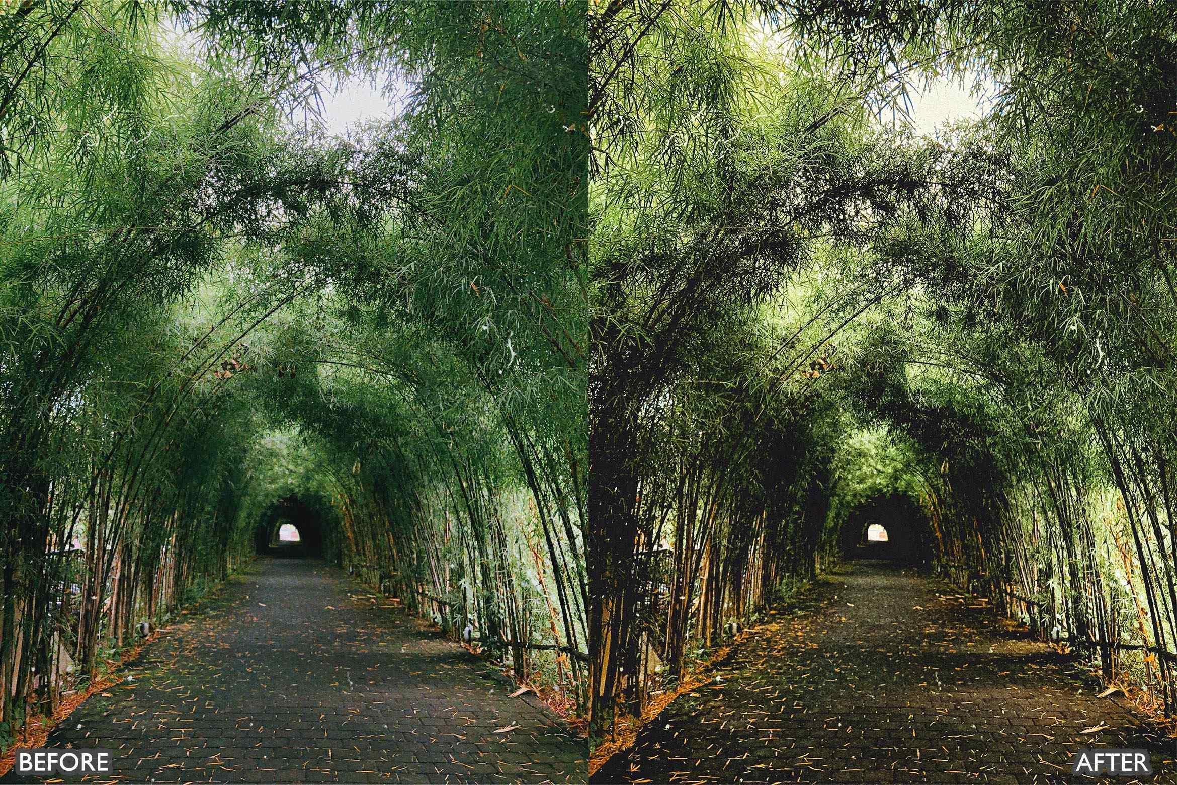 Cinematic Moody Dark Green Lightroom Presets - Lightroom Presets - by AAA Presets