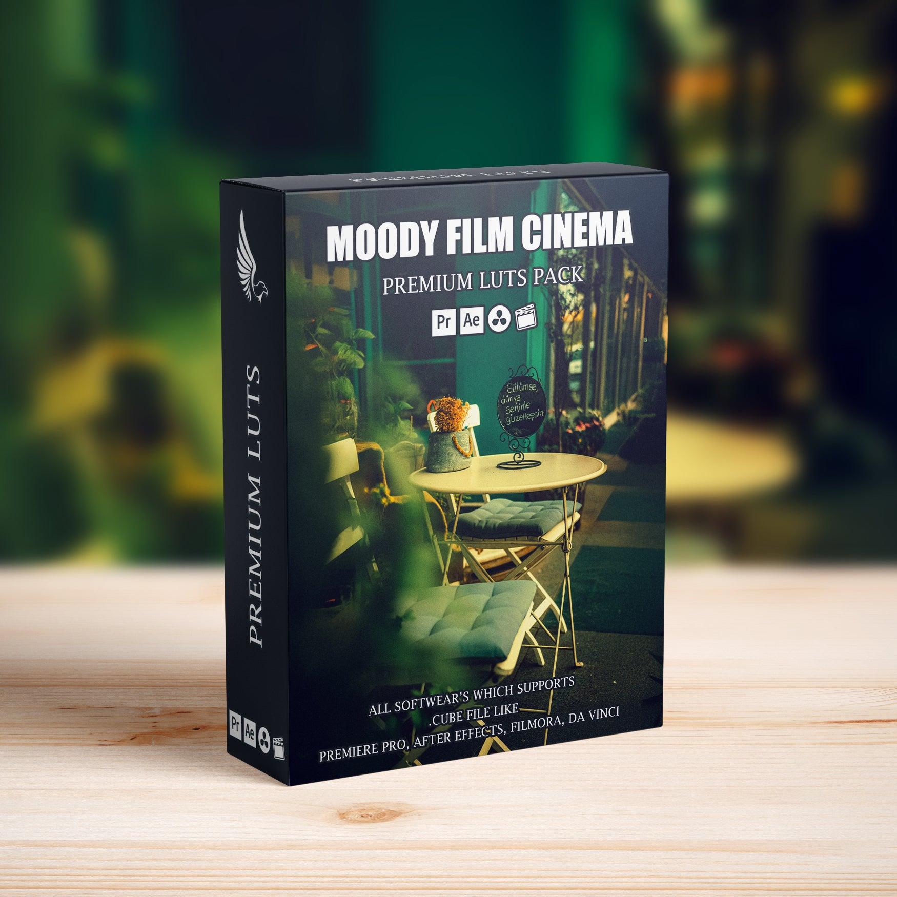 Cinematic Moody Look Film LUTs Pack - Video LUTs - by AAA Presets