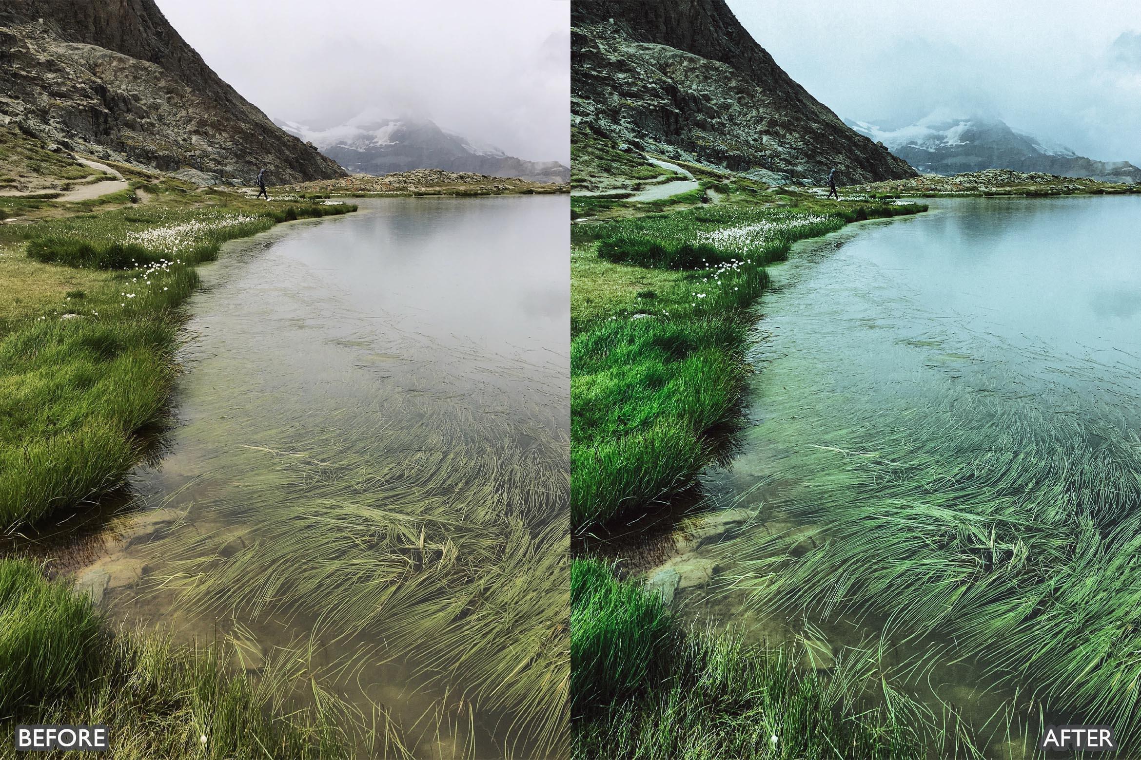Cinematic Nature Moody Green Lightroom Preset - Lightroom Presets - by AAA Presets
