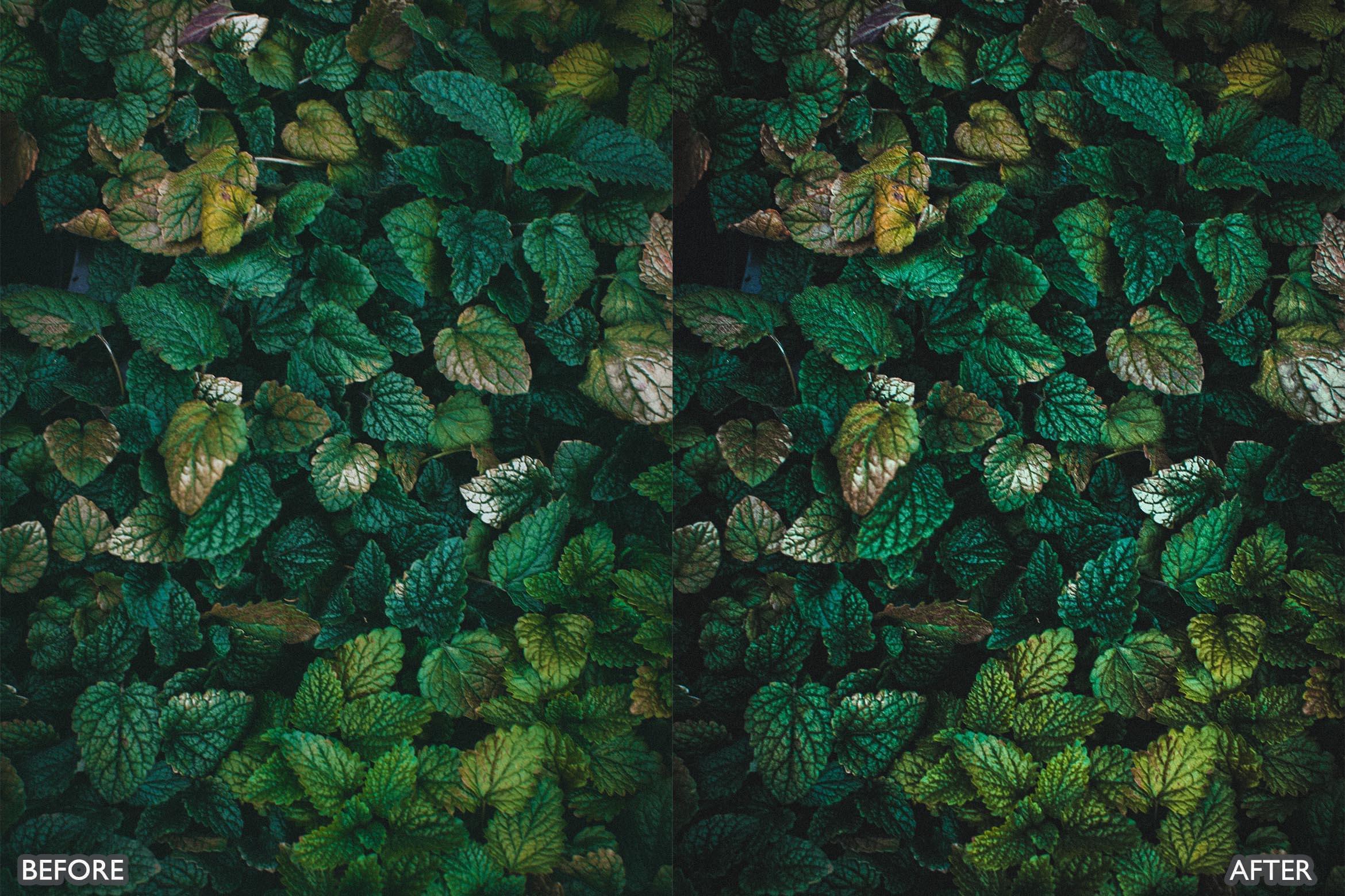 Cinematic Nature Moody Green Lightroom Preset - Lightroom Presets - by AAA Presets