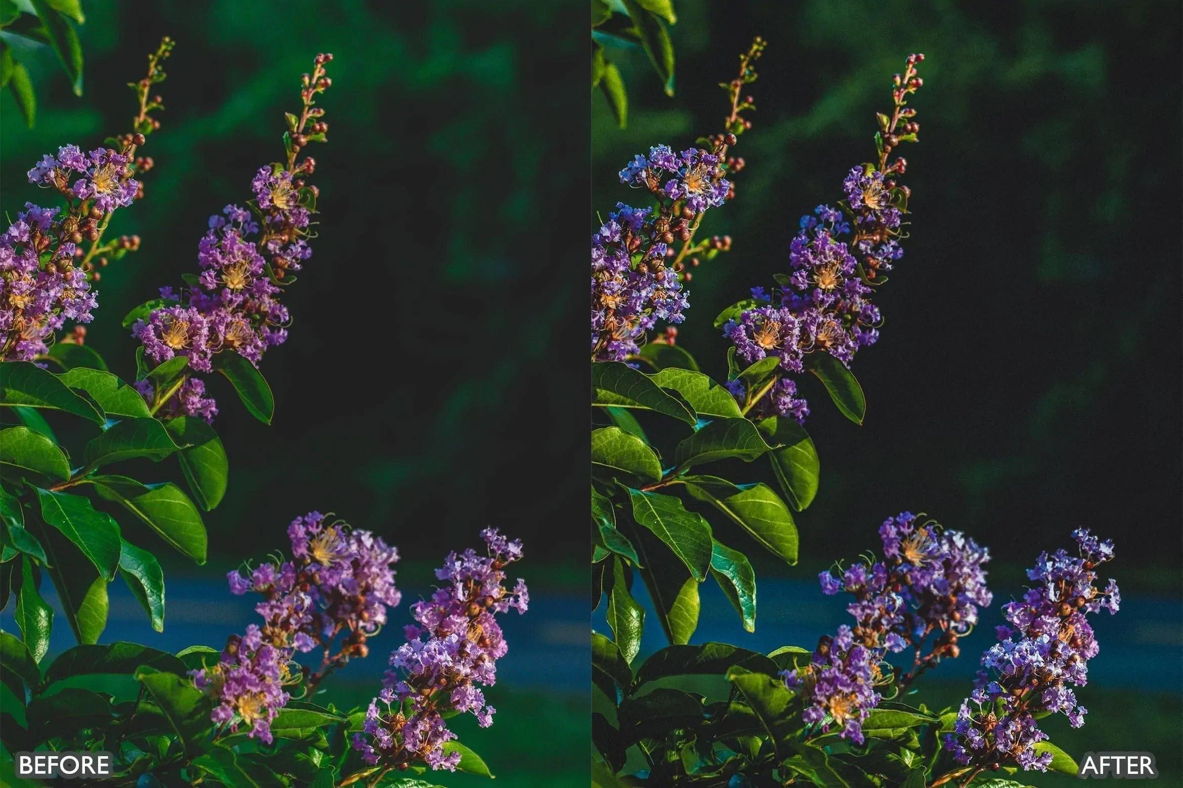 Cinematic Nature Moody Green Lightroom Preset - Lightroom Presets - by AAA Presets