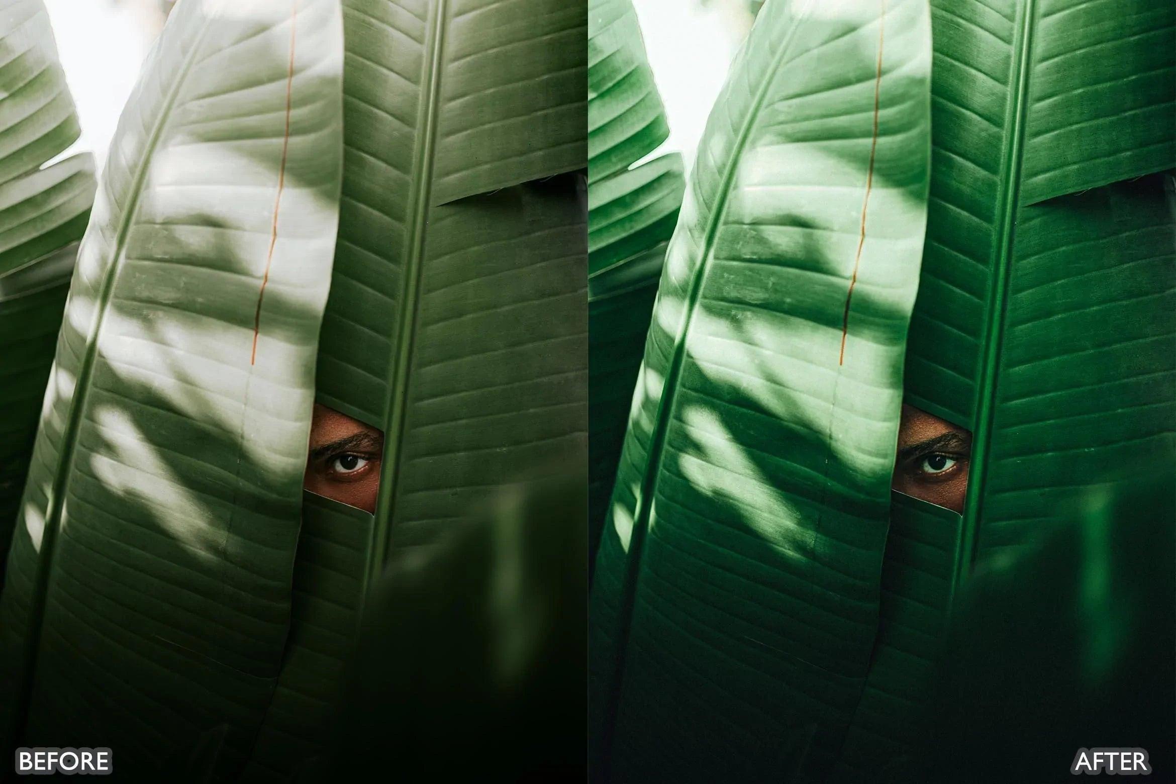 Cinematic Nature Moody Green Lightroom Preset - Lightroom Presets - by AAA Presets