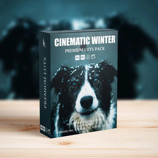 Cinematic Snow Winter Video LUTs - Cinematic LUTs Pack, Color Grading Video Presets, Luts For Premier Pro Final Cut Pro, Premium FILM LUTs, Premium LUTs - aaapresets.com