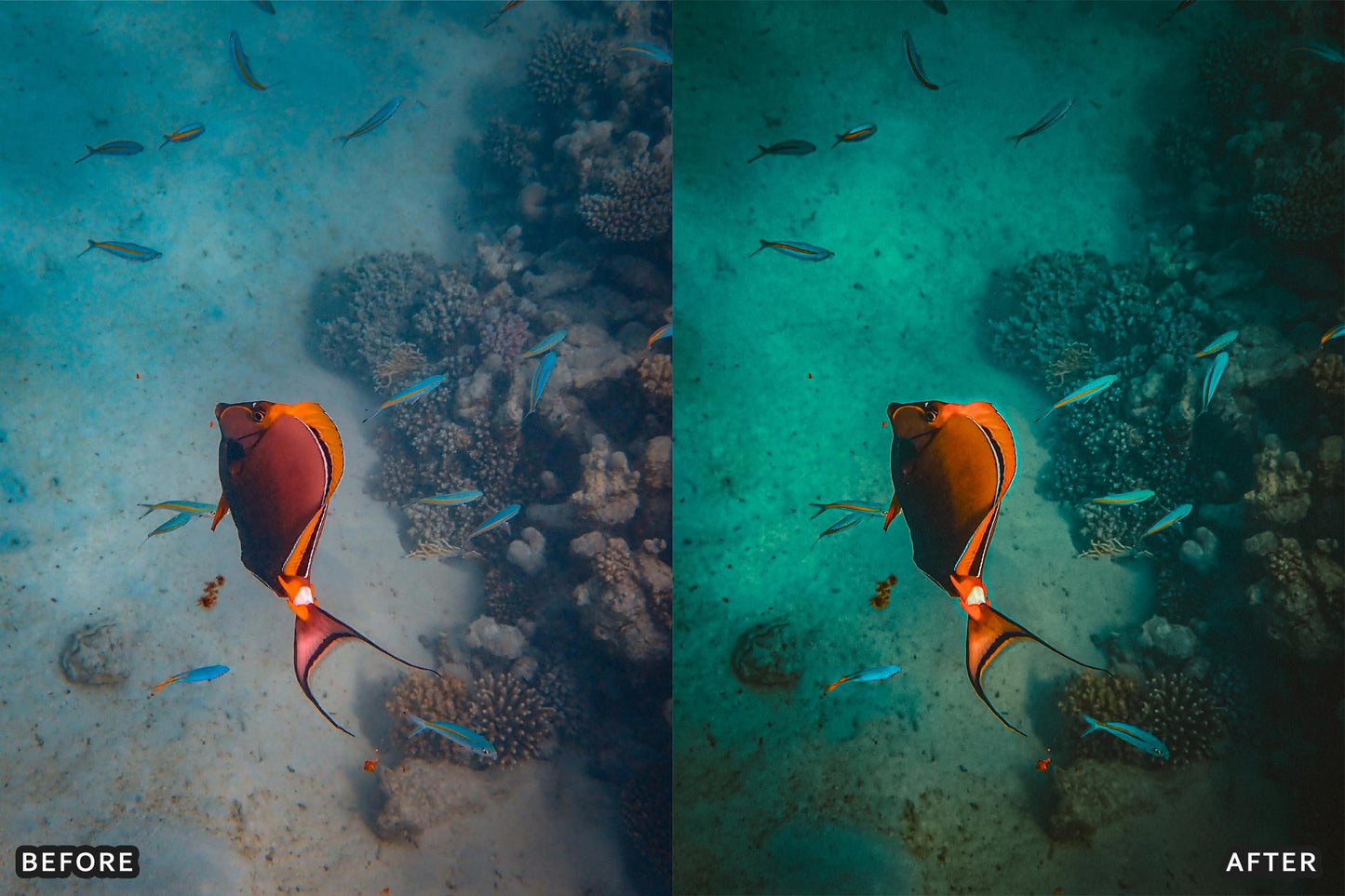 Cinematic Underwater Lightroom Presets Pack - Cinematic photo effects, Cinematic Presets, Digital photography, HDR Lightroom presets, HDR presets, landscape presets, Lightroom CC presets, Lightroom classic presets, Lightroom editing, Lightroom mobile presets, lightroom presets - aaapresets.com