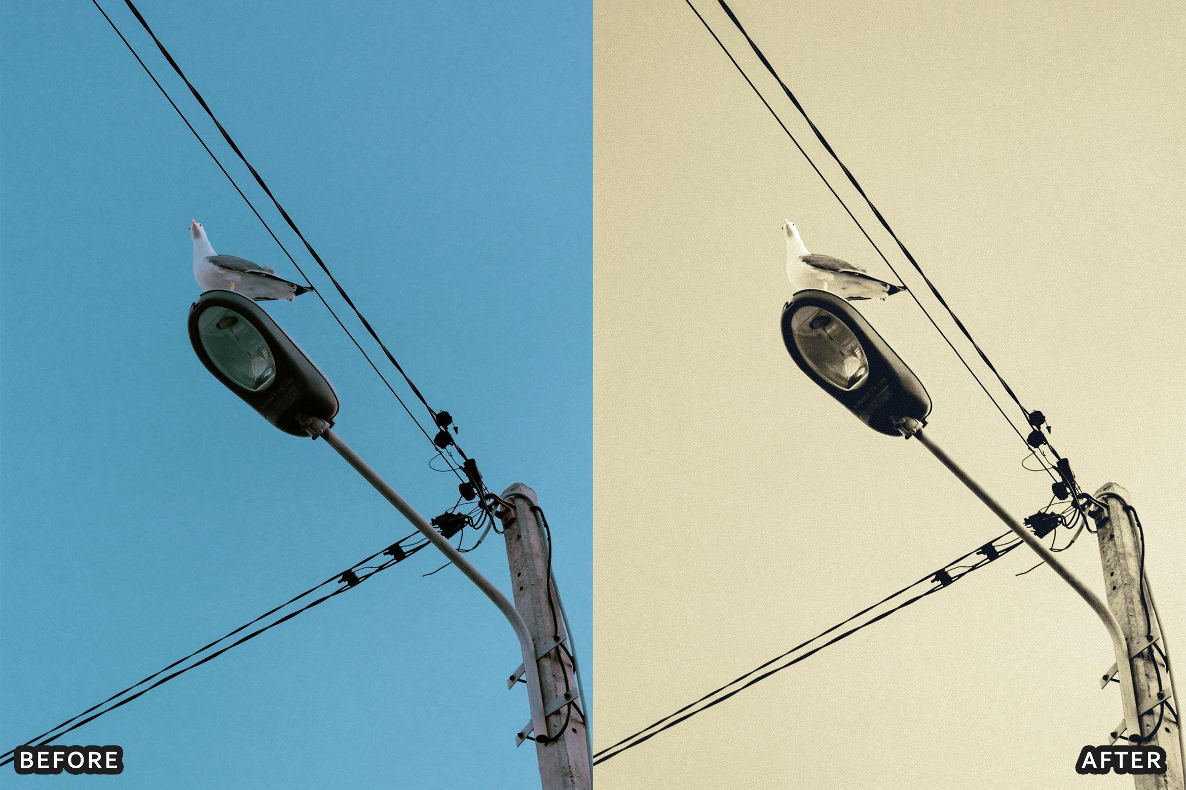 Classic Black and White Lightroom Presets - Lightroom Presets - by AAA Presets