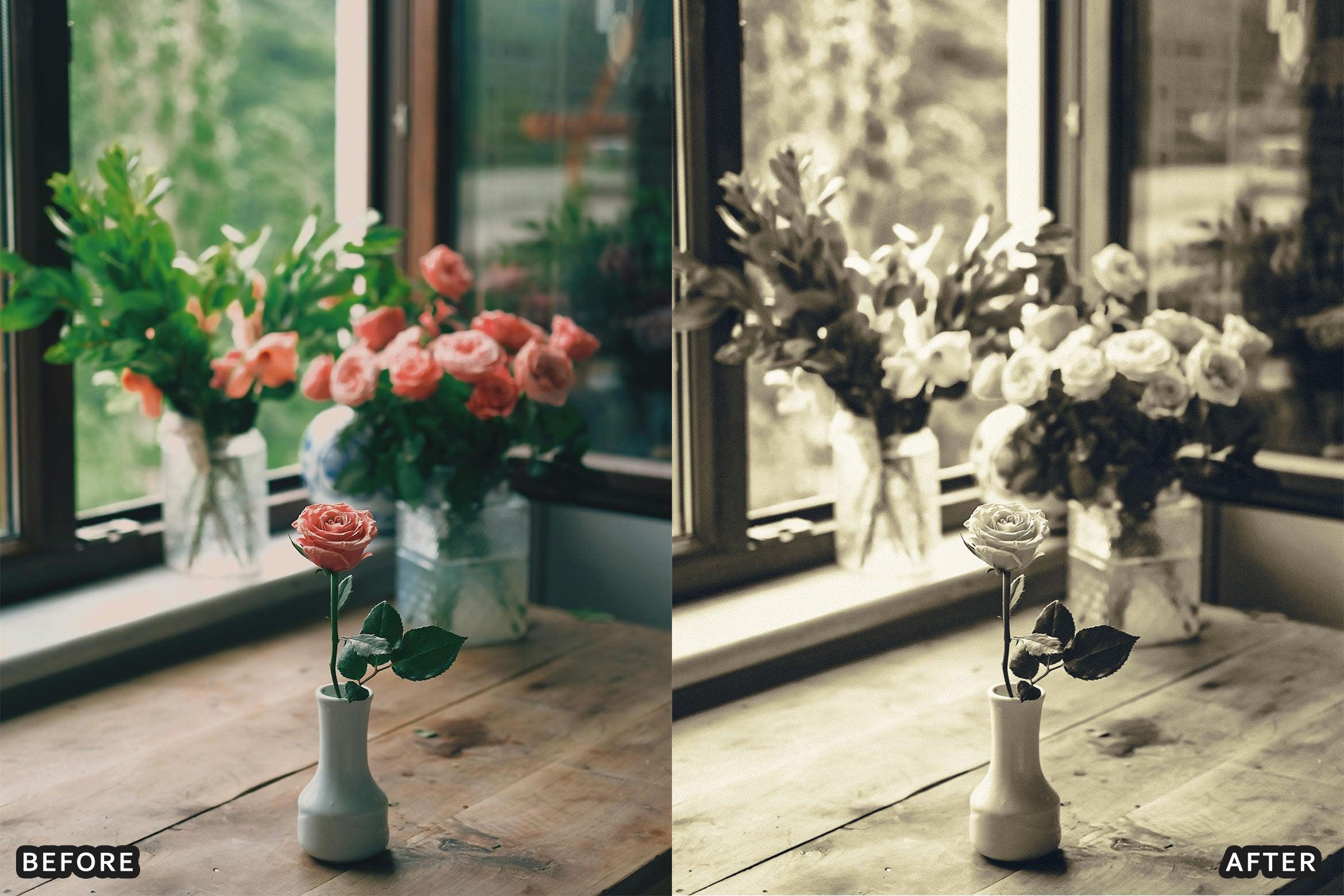 Classic Black and White Lightroom Presets - Lightroom Presets - by AAA Presets