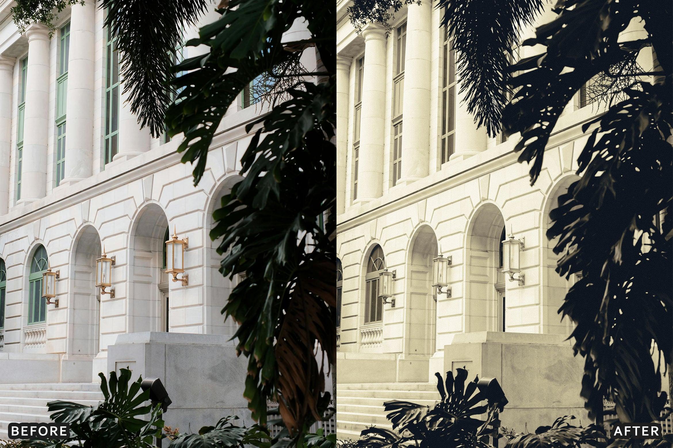 Classic Black and White Lightroom Presets - Lightroom Presets - by AAA Presets