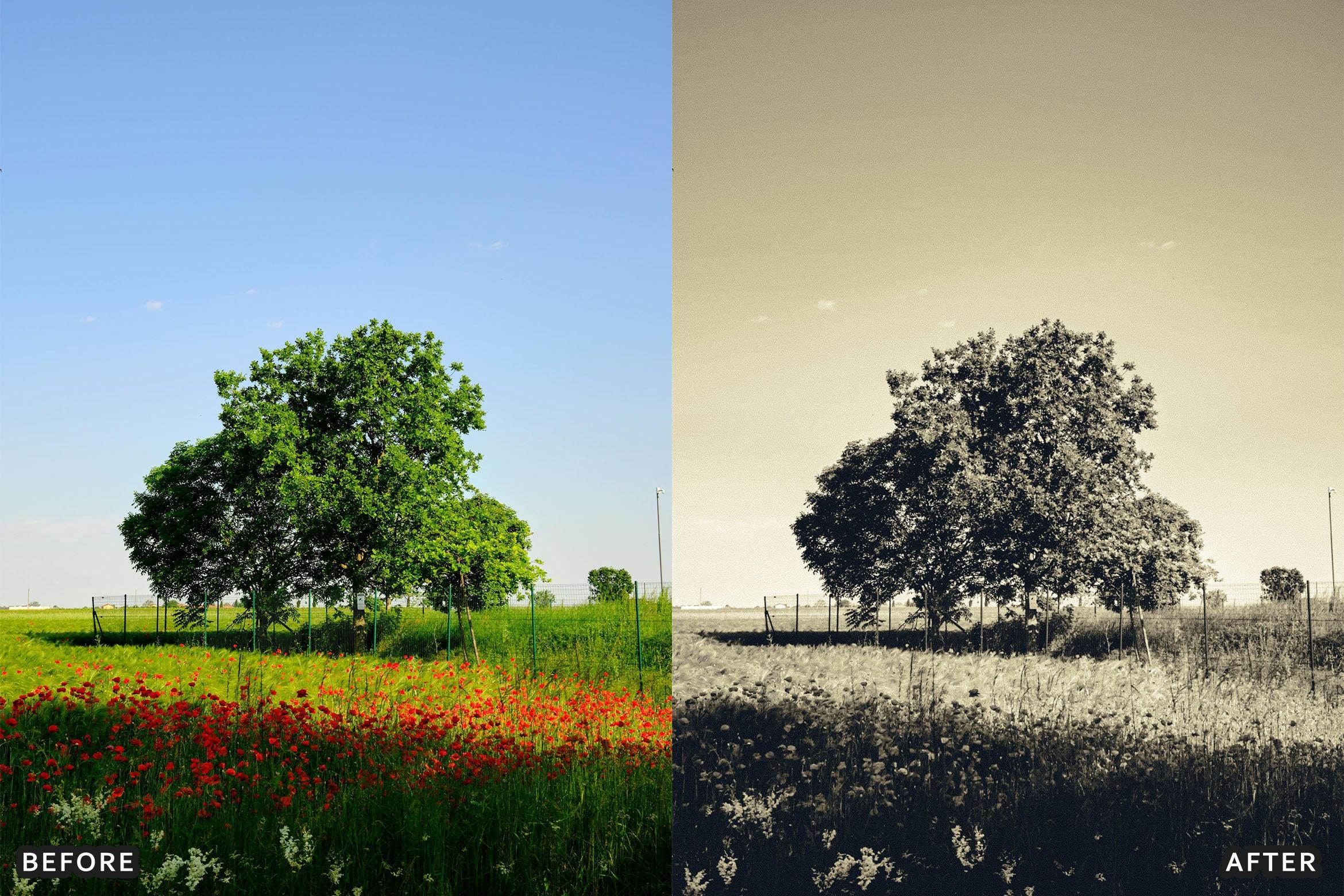 Classic Black and White Lightroom Presets - Lightroom Presets - by AAA Presets