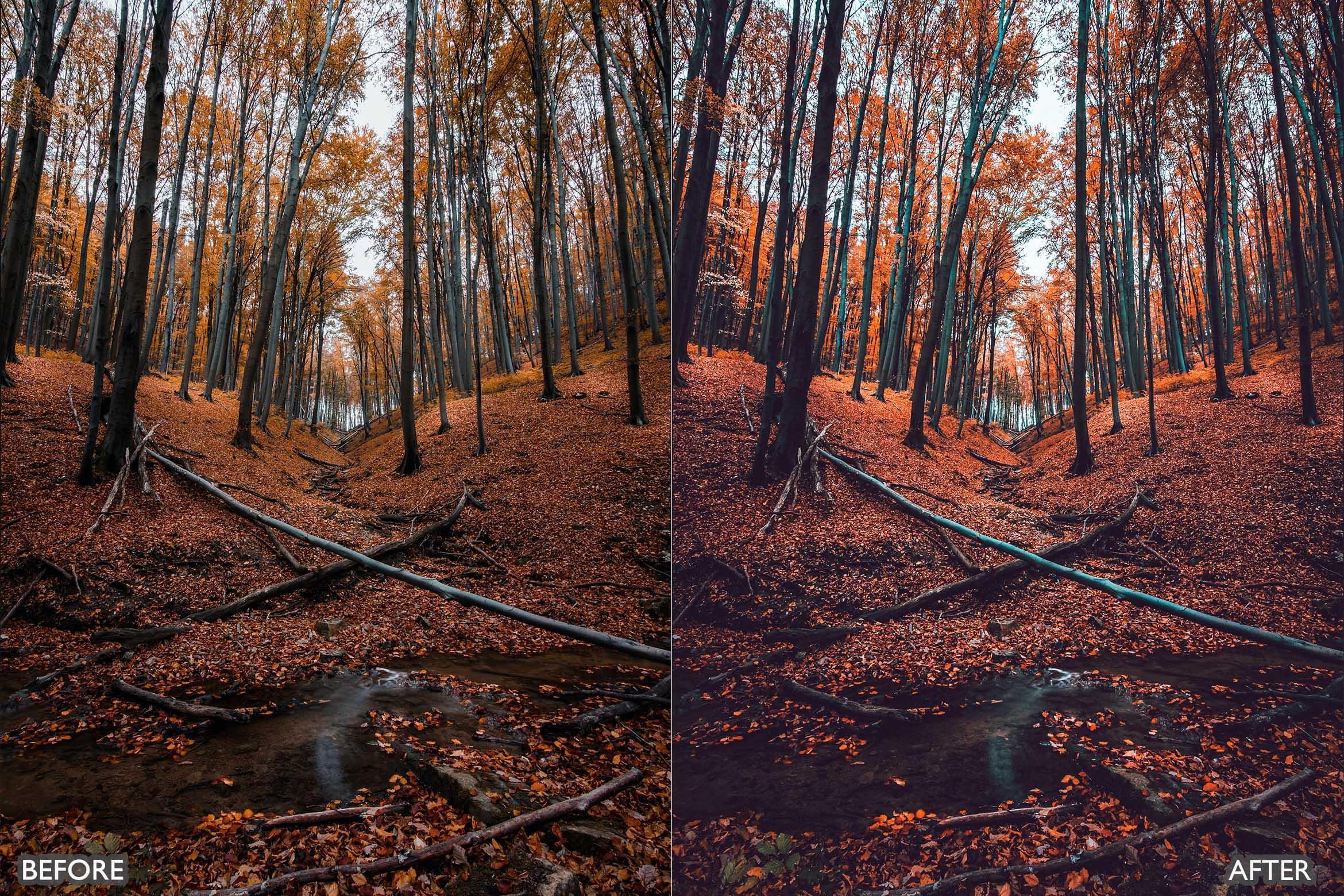 Dark and Moody Lightroom Presets - Lightroom Presets - by AAA Presets