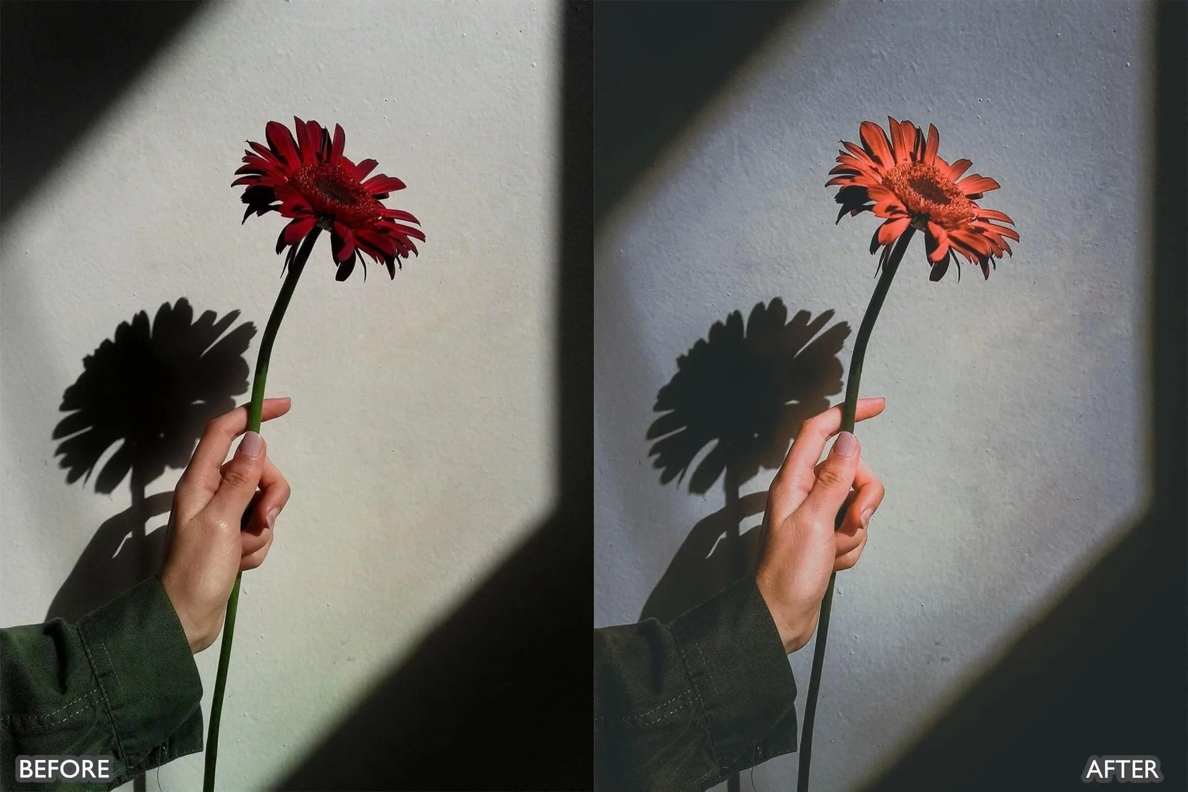 Dark and Moody Lightroom Presets - Lightroom Presets - by AAA Presets