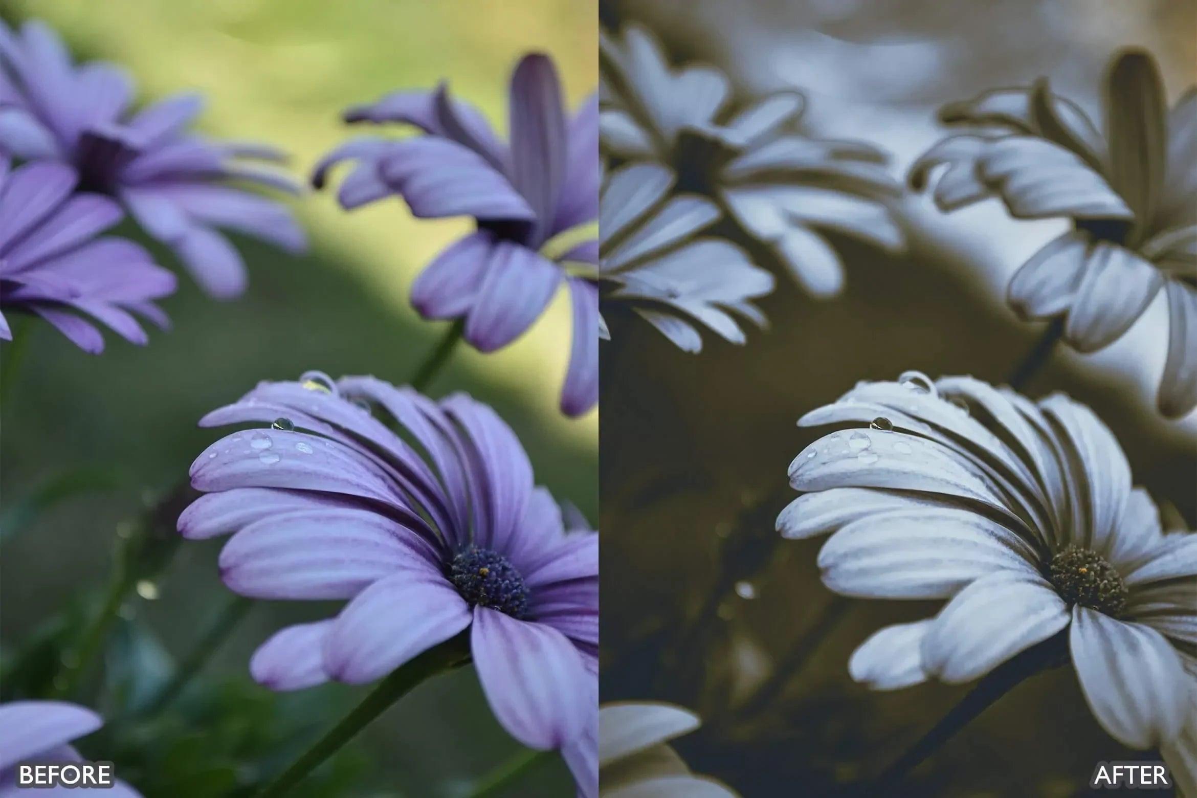 Dark and Moody Lightroom Presets - Lightroom Presets - by AAA Presets