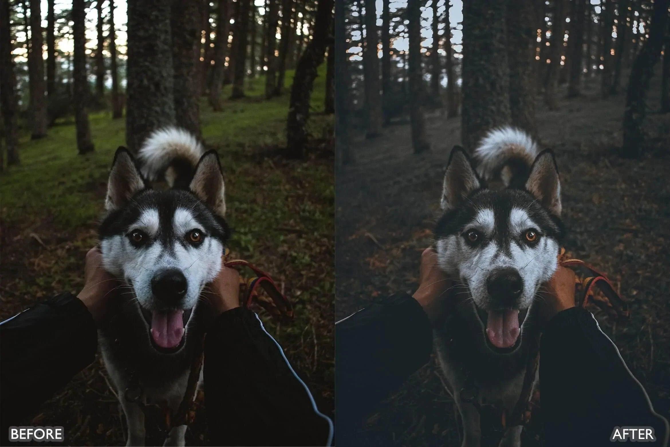 Dark and Moody Lightroom Presets - Lightroom Presets - by AAA Presets