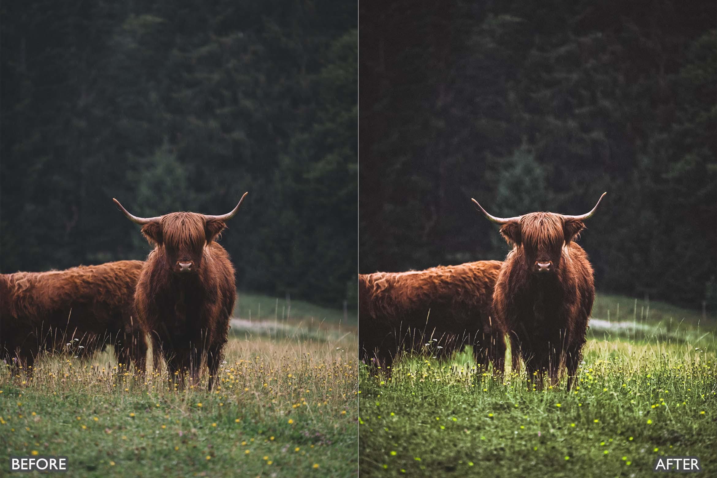 Dark & Moody Travel Lightroom Presets - Lightroom Presets - by AAA Presets