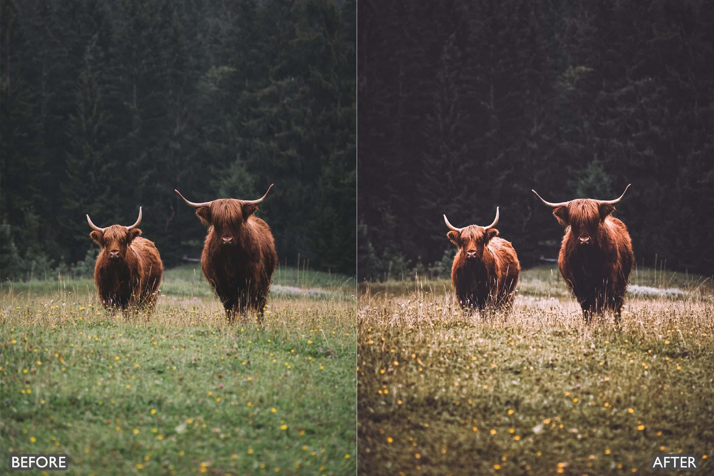 Dark & Moody Travel Lightroom Presets - Lightroom Presets - by AAA Presets