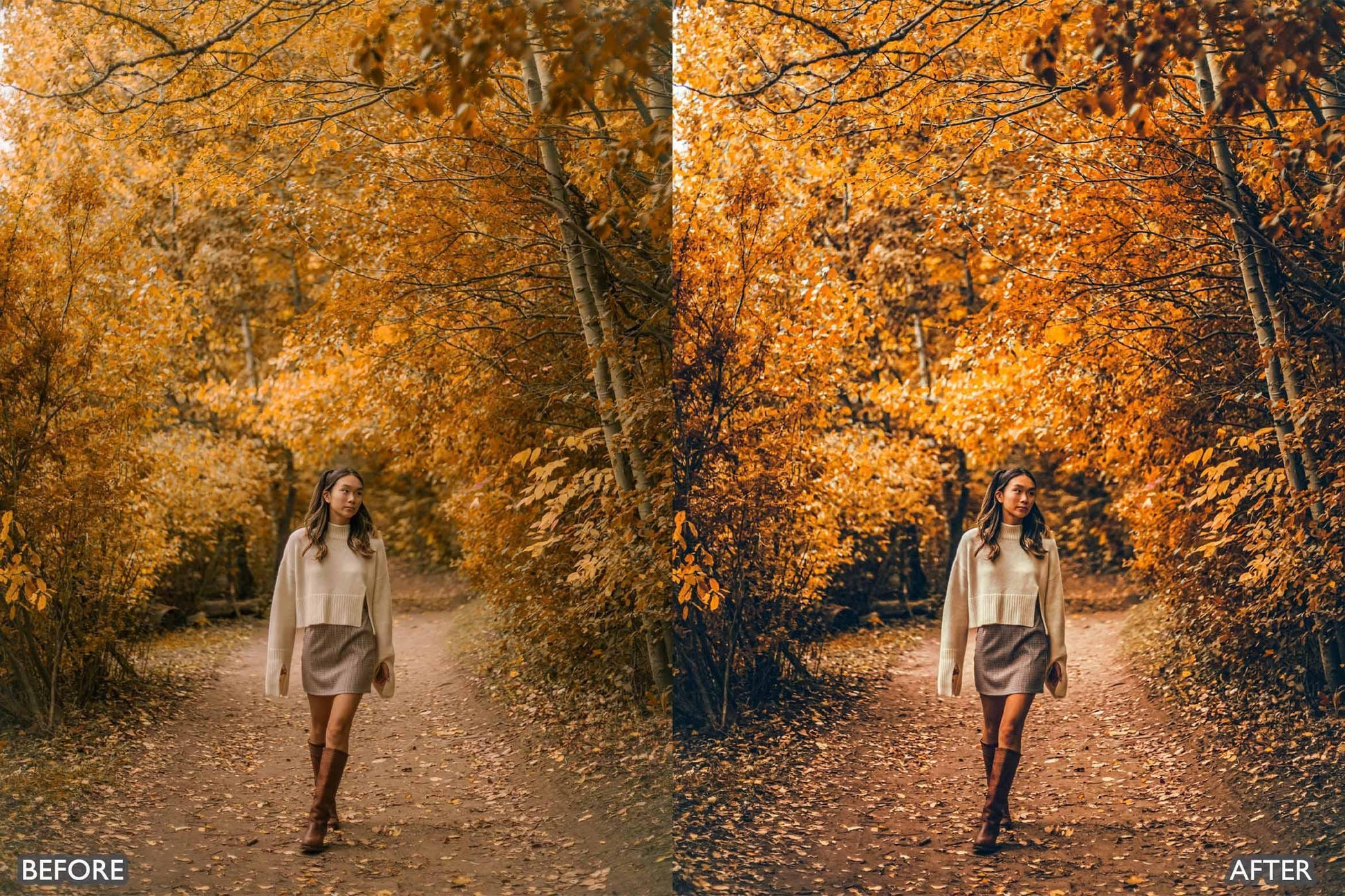 Fall Lightroom Presets For Autumn Photos - adobe lightroom presets, Fall Presets, instagram presets, landscape presets, lightroom presets, presets before and after, professional lightroom presets - aaapresets.com