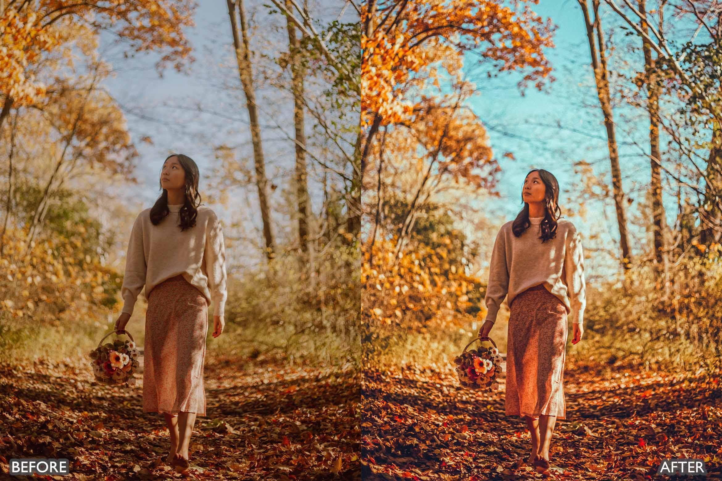 Fall Lightroom Presets For Autumn Photos - Lightroom Presets - by AAA Presets