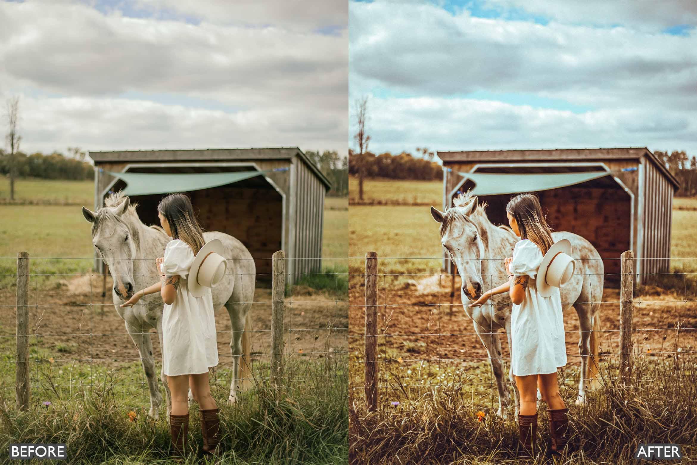 Fall Lightroom Presets For Autumn Photos - Lightroom Presets - by AAA Presets