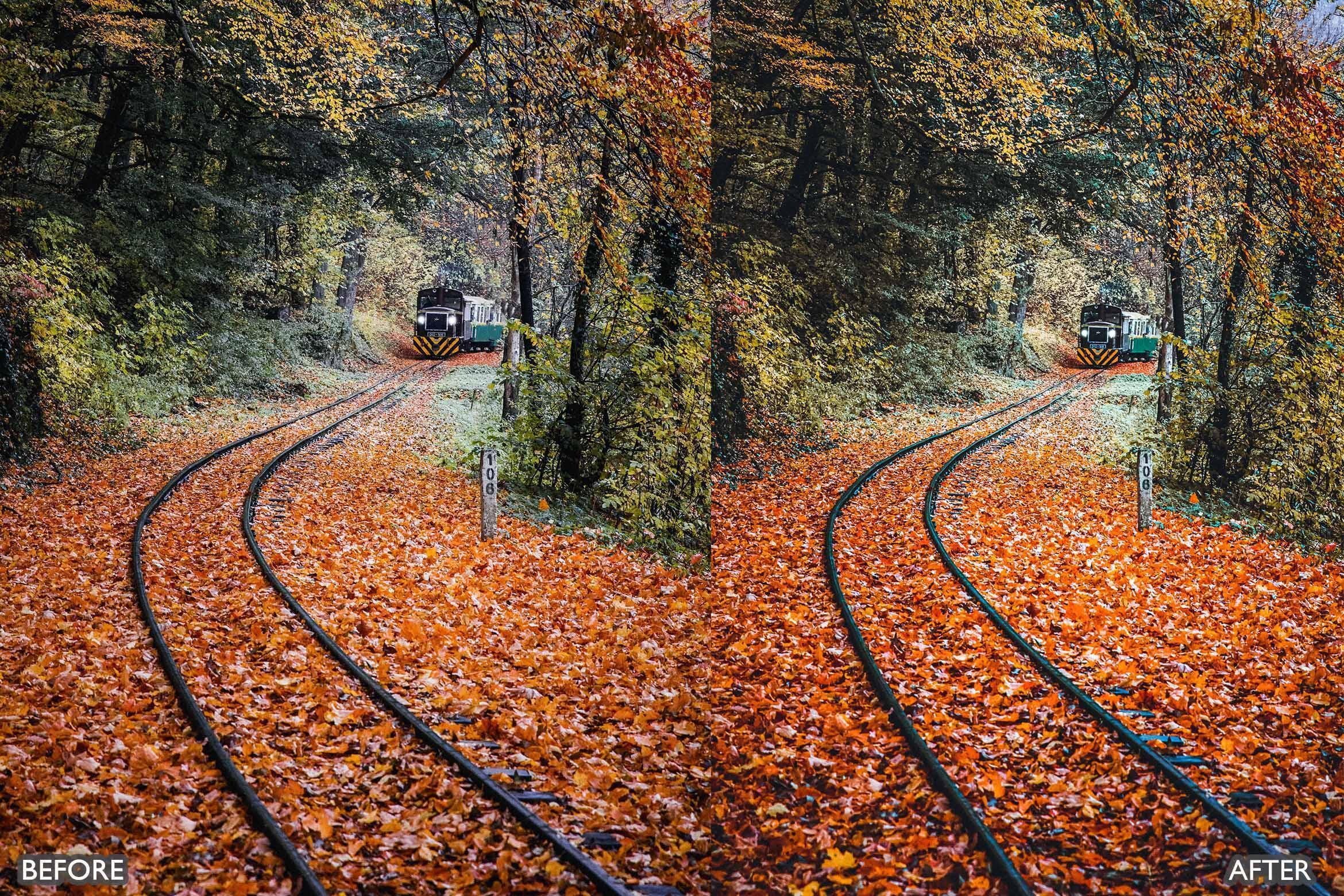 Fall Lightroom Presets For Autumn Photos - Lightroom Presets - by AAA Presets