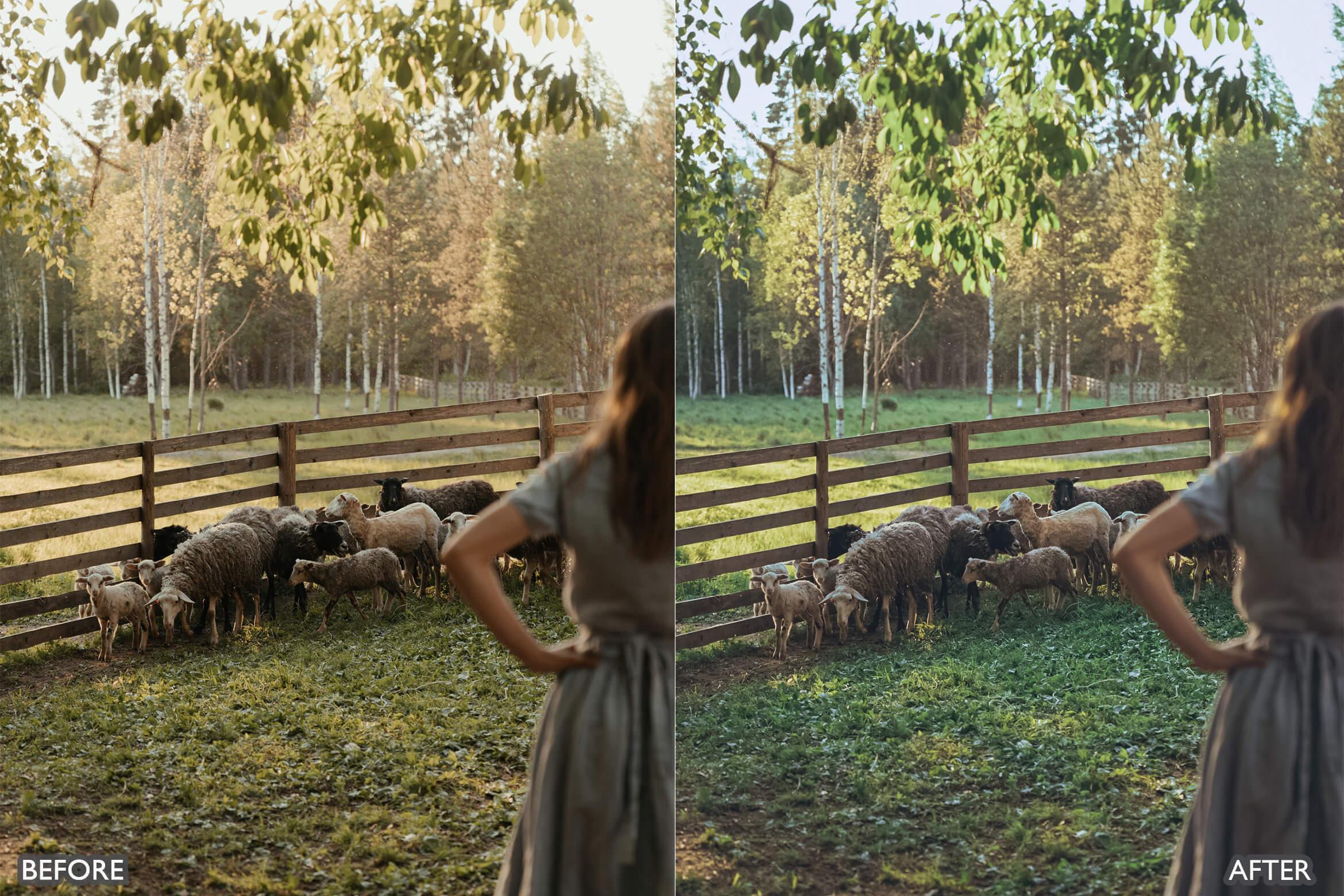 Farm Life Lightroom Presets - adobe lightroom presets, Blogger presets, brown presets, Cinematic Presets, cream presets, instagram presets, lightroom presets, Minimalist presets, Portrait presets, presets before and after, professional lightroom presets - aaapresets.com