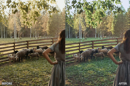 Farm Life Lightroom Presets - adobe lightroom presets, Blogger presets, brown presets, Cinematic Presets, cream presets, instagram presets, lightroom presets, Minimalist presets, Portrait presets, presets before and after, professional lightroom presets - aaapresets.com