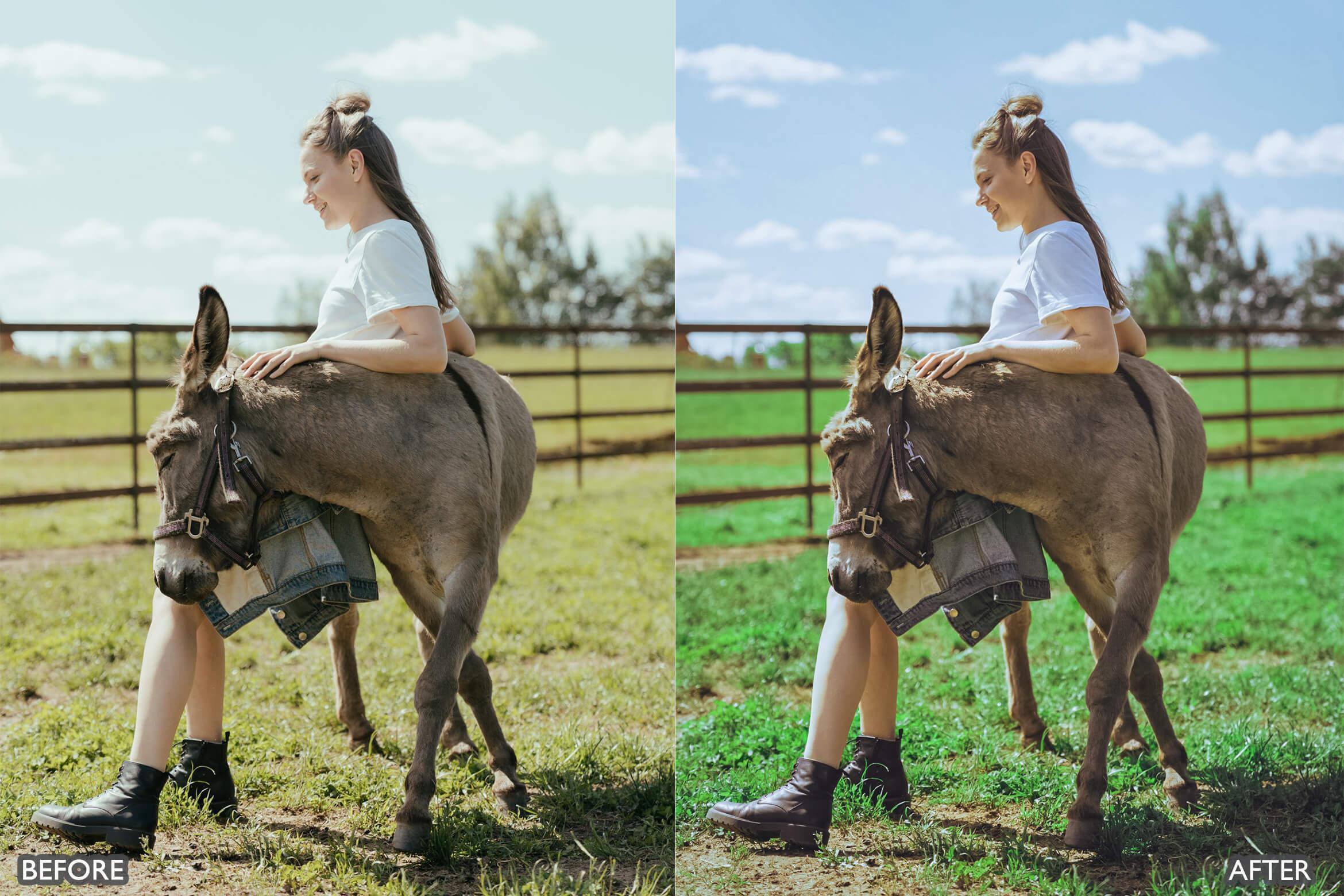 Farm Life Lightroom Presets - adobe lightroom presets, Blogger presets, brown presets, Cinematic Presets, cream presets, instagram presets, lightroom presets, Minimalist presets, Portrait presets, presets before and after, professional lightroom presets - aaapresets.com