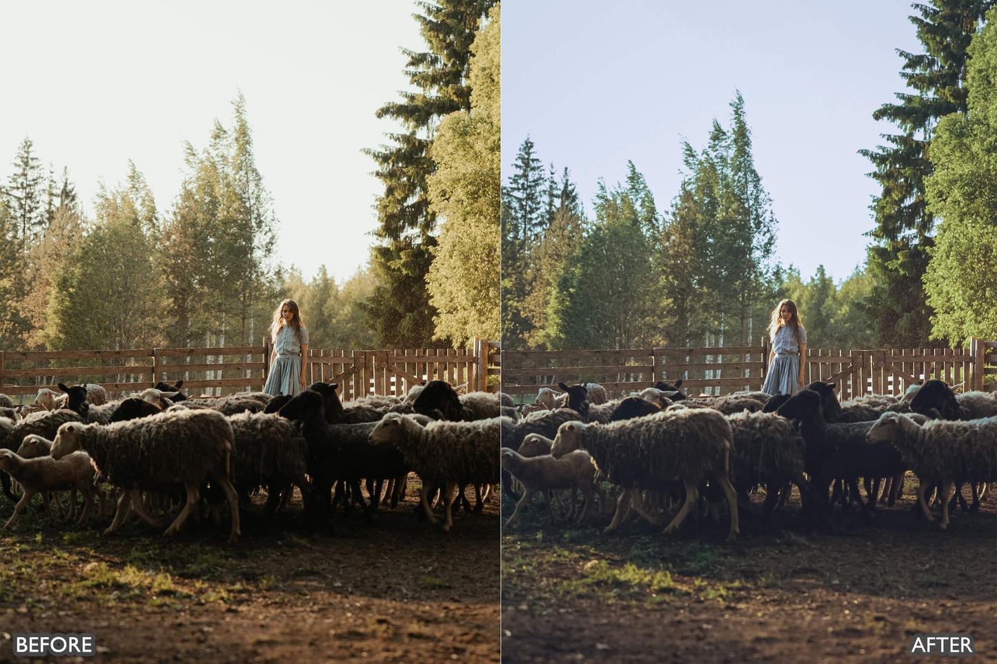 Farm Life Lightroom Presets - adobe lightroom presets, Blogger presets, brown presets, Cinematic Presets, cream presets, instagram presets, lightroom presets, Minimalist presets, Portrait presets, presets before and after, professional lightroom presets - aaapresets.com