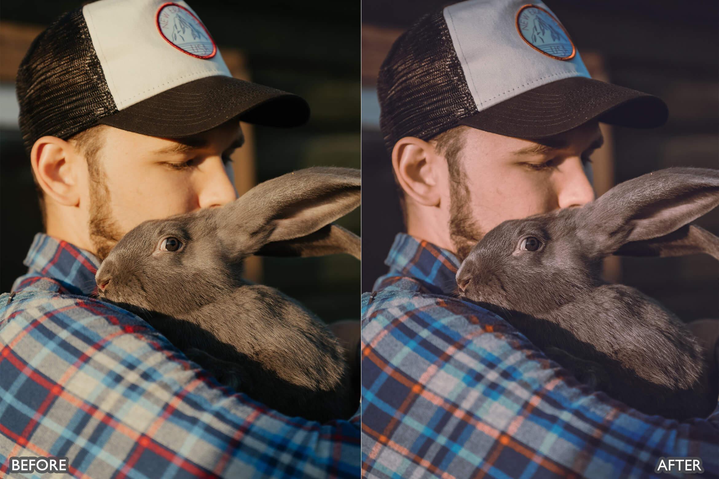 Farm Life Lightroom Presets - Lightroom Presets - by AAA Presets