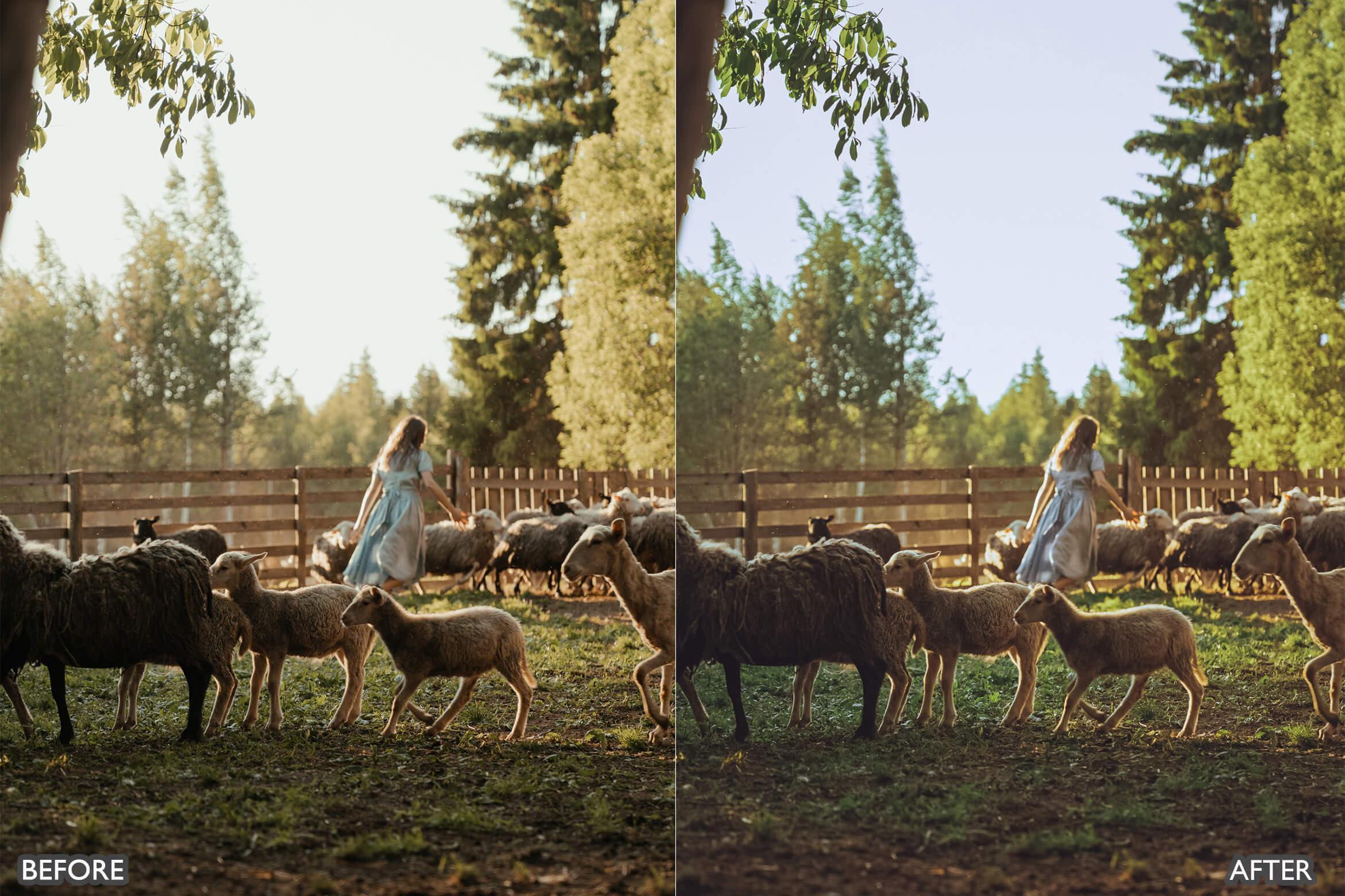 Farm Life Lightroom Presets - adobe lightroom presets, Blogger presets, brown presets, Cinematic Presets, cream presets, instagram presets, lightroom presets, Minimalist presets, Portrait presets, presets before and after, professional lightroom presets - aaapresets.com