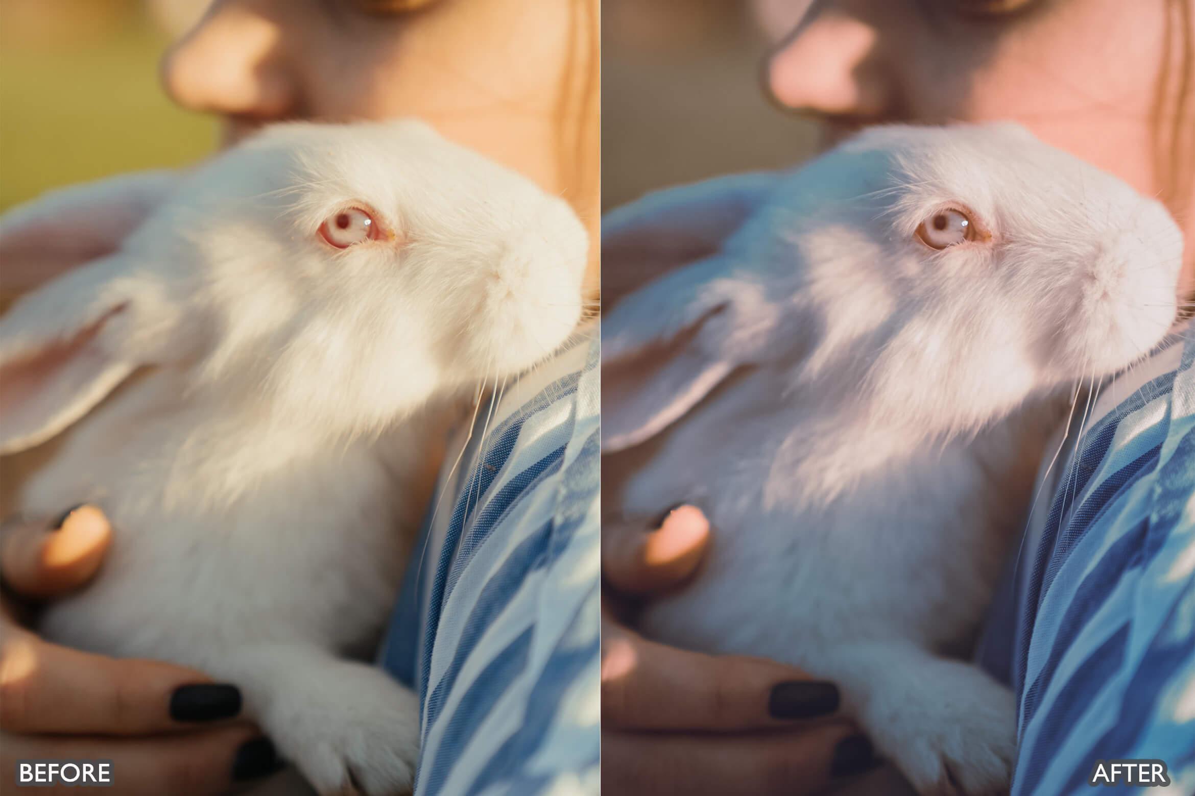 Farm Life Lightroom Presets - Lightroom Presets - by AAA Presets