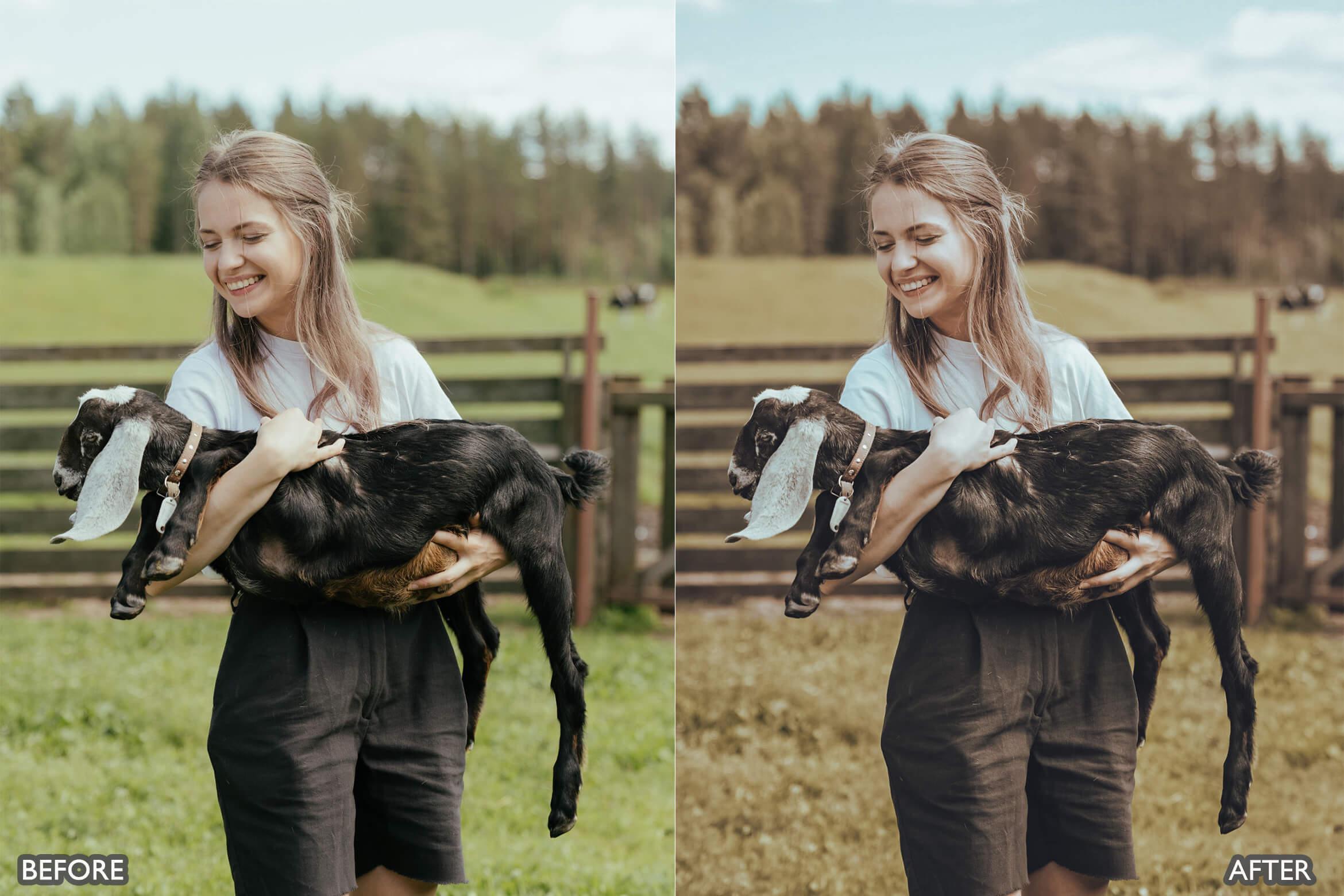 Farm Life Lightroom Presets - Lightroom Presets - by AAA Presets