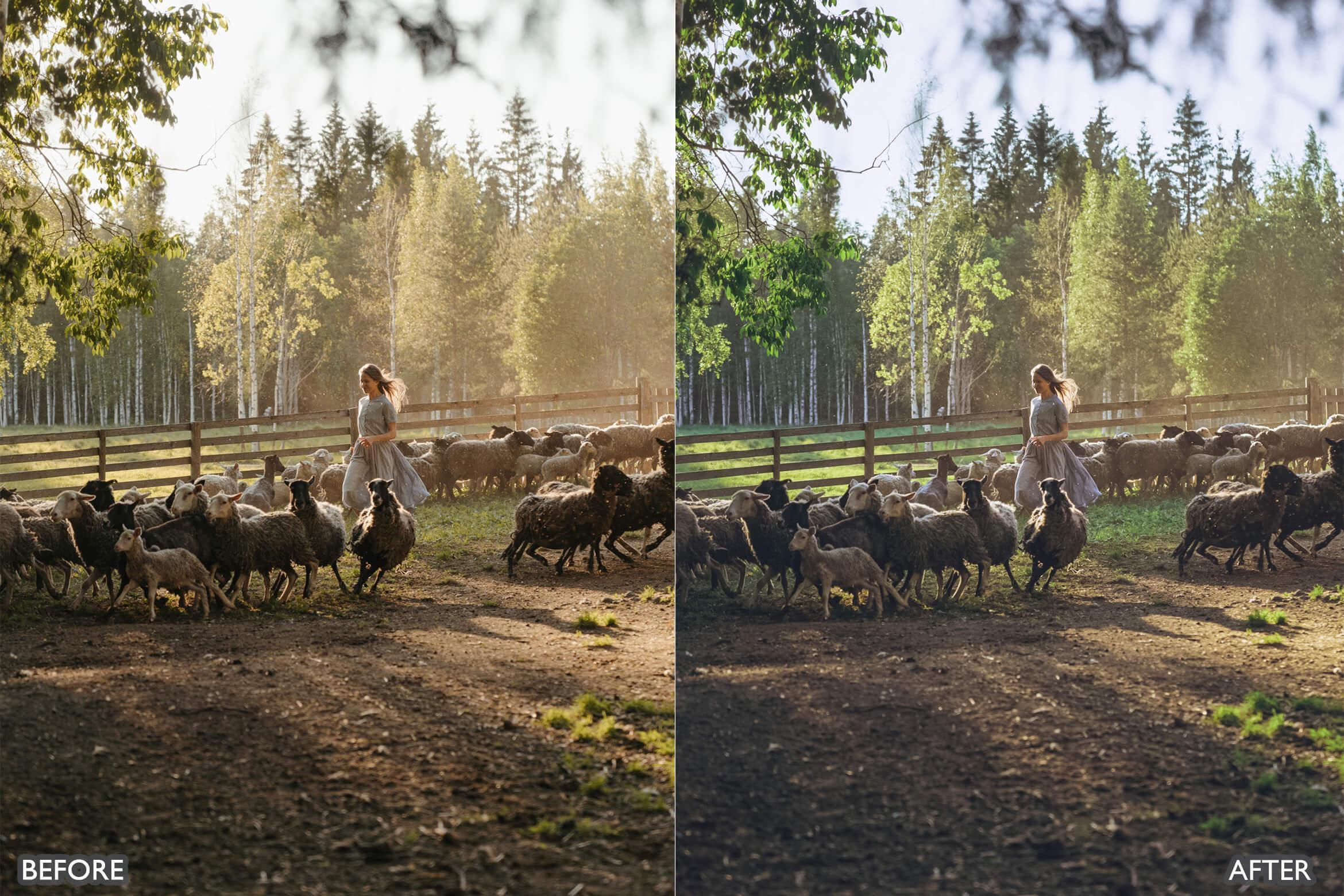 Farm Life Lightroom Presets - adobe lightroom presets, Blogger presets, brown presets, Cinematic Presets, cream presets, instagram presets, lightroom presets, Minimalist presets, Portrait presets, presets before and after, professional lightroom presets - aaapresets.com