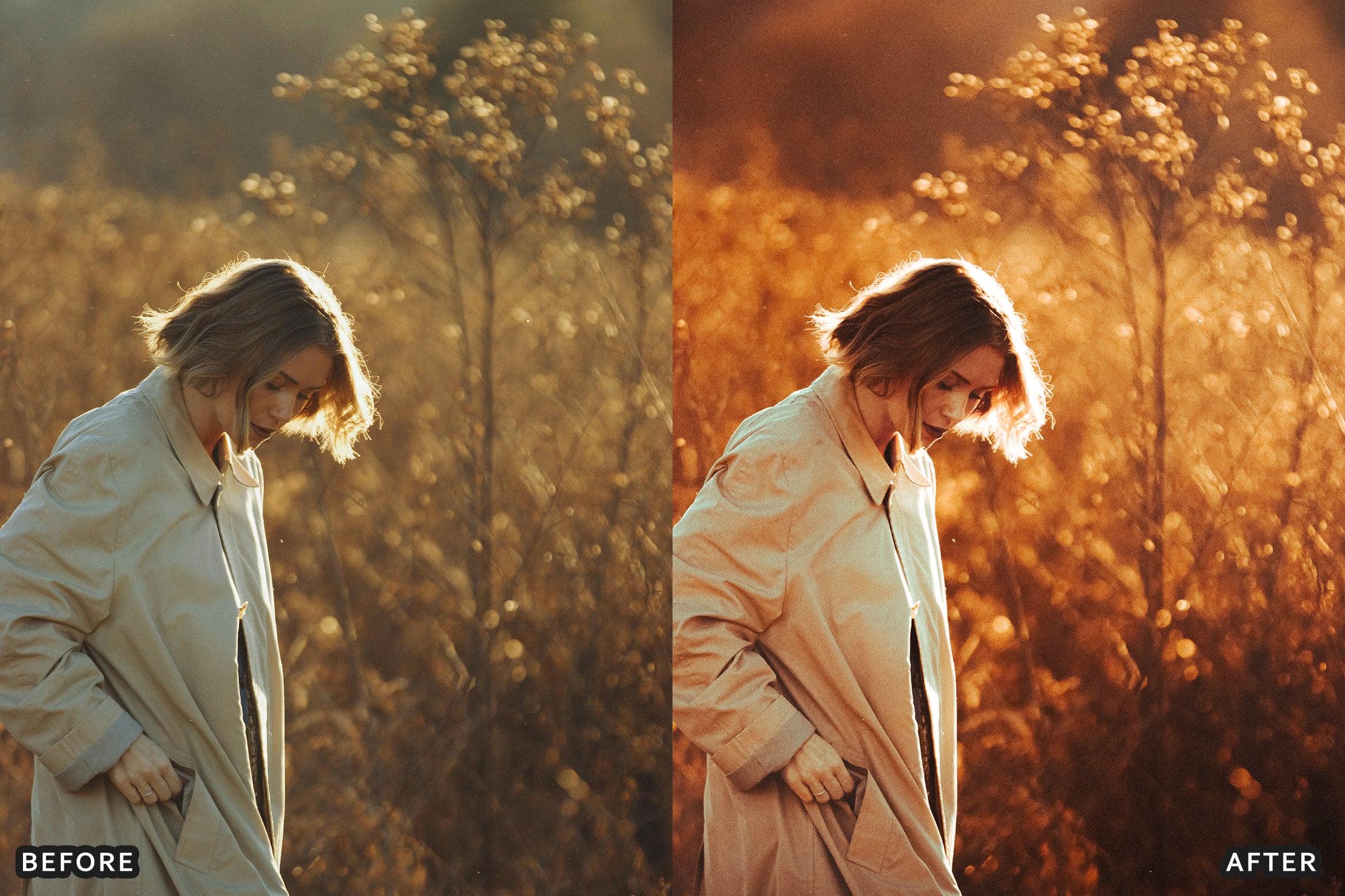 AI-Optimized Golden Fashion Lightroom Presets - Lightroom Presets - by AAA Presets