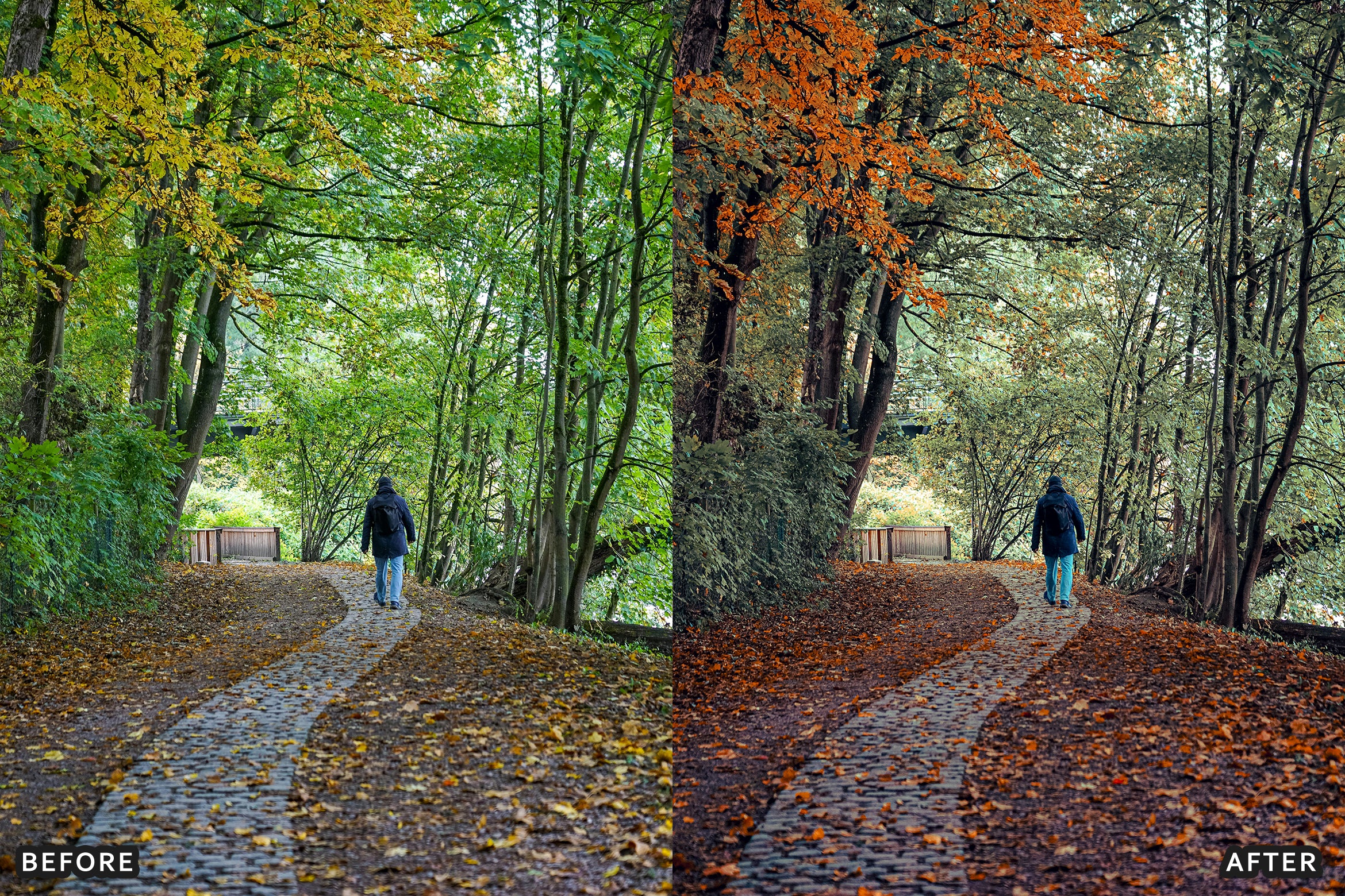 AI-Optimized Golden Fall Forest Lightroom Presets - Lightroom Presets - by AAA Presets