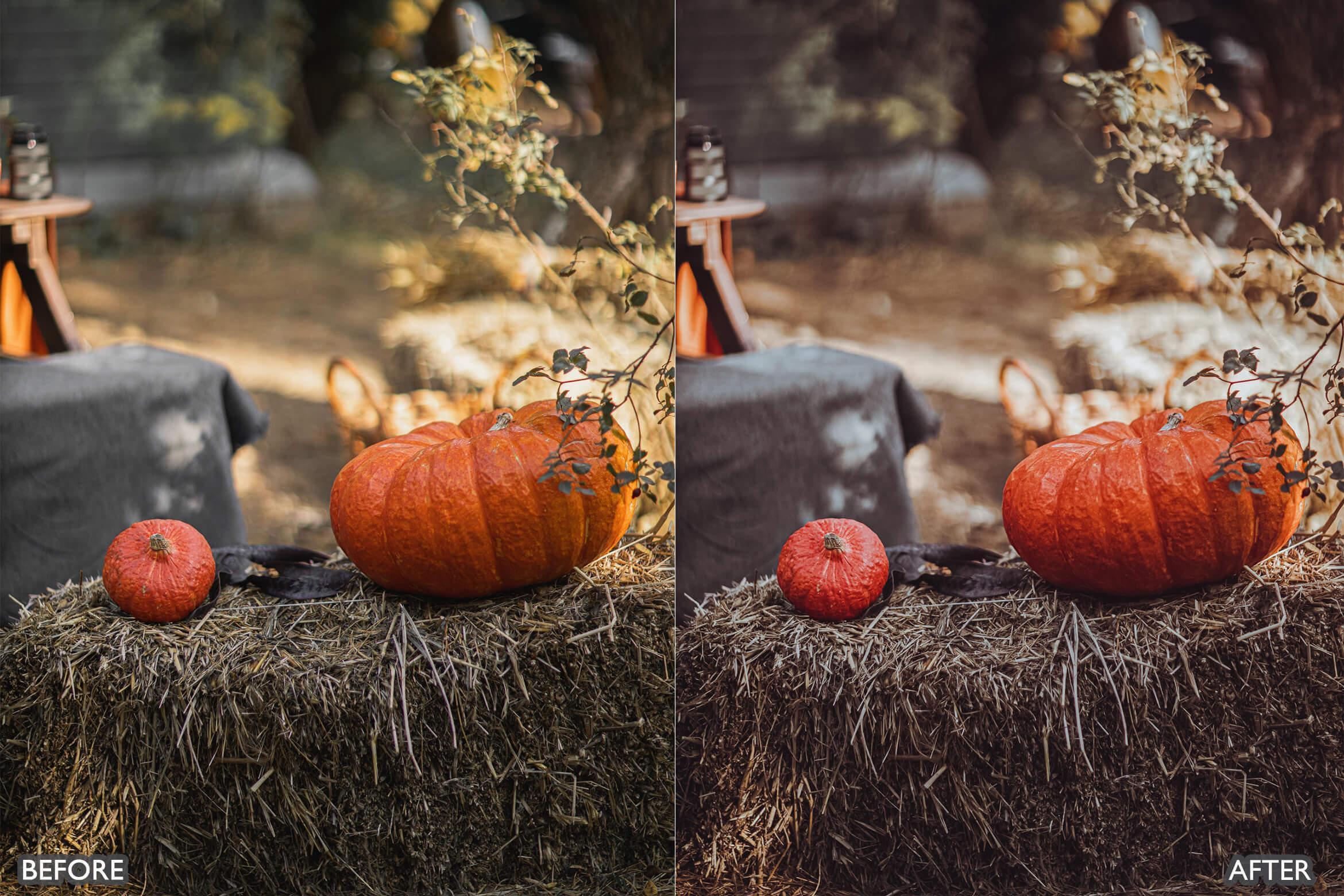 Halloween Autumn Fall Lightroom Presets - adobe lightroom presets, Blogger presets, brown presets, Cinematic Presets, cream presets, Fall Presets, instagram presets, lightroom presets, Minimalist presets, Portrait presets, presets before and after, professional lightroom presets - aaapresets.com