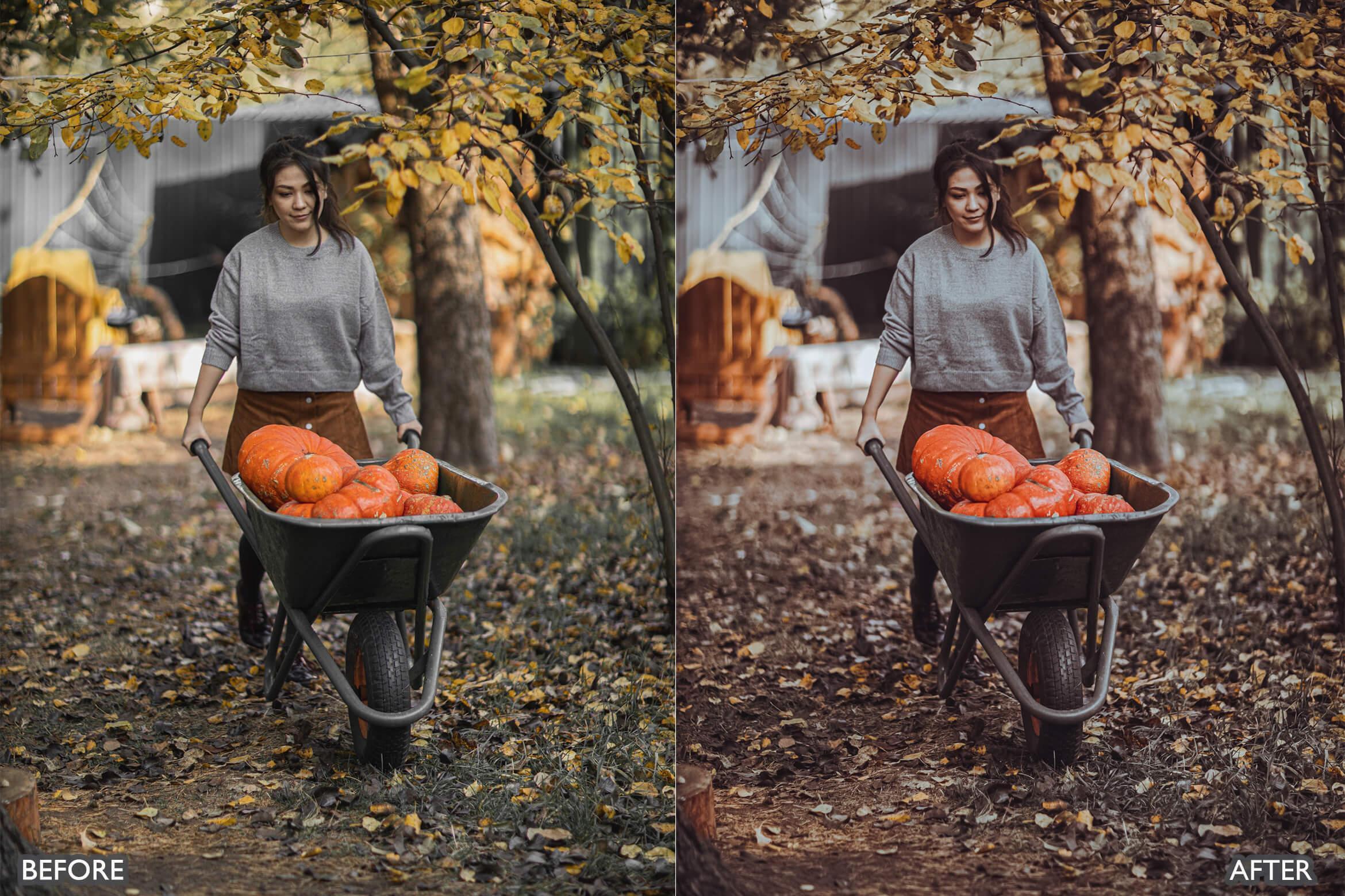 Halloween Autumn Fall Lightroom Presets - adobe lightroom presets, Blogger presets, brown presets, Cinematic Presets, cream presets, Fall Presets, instagram presets, lightroom presets, Minimalist presets, Portrait presets, presets before and after, professional lightroom presets - aaapresets.com