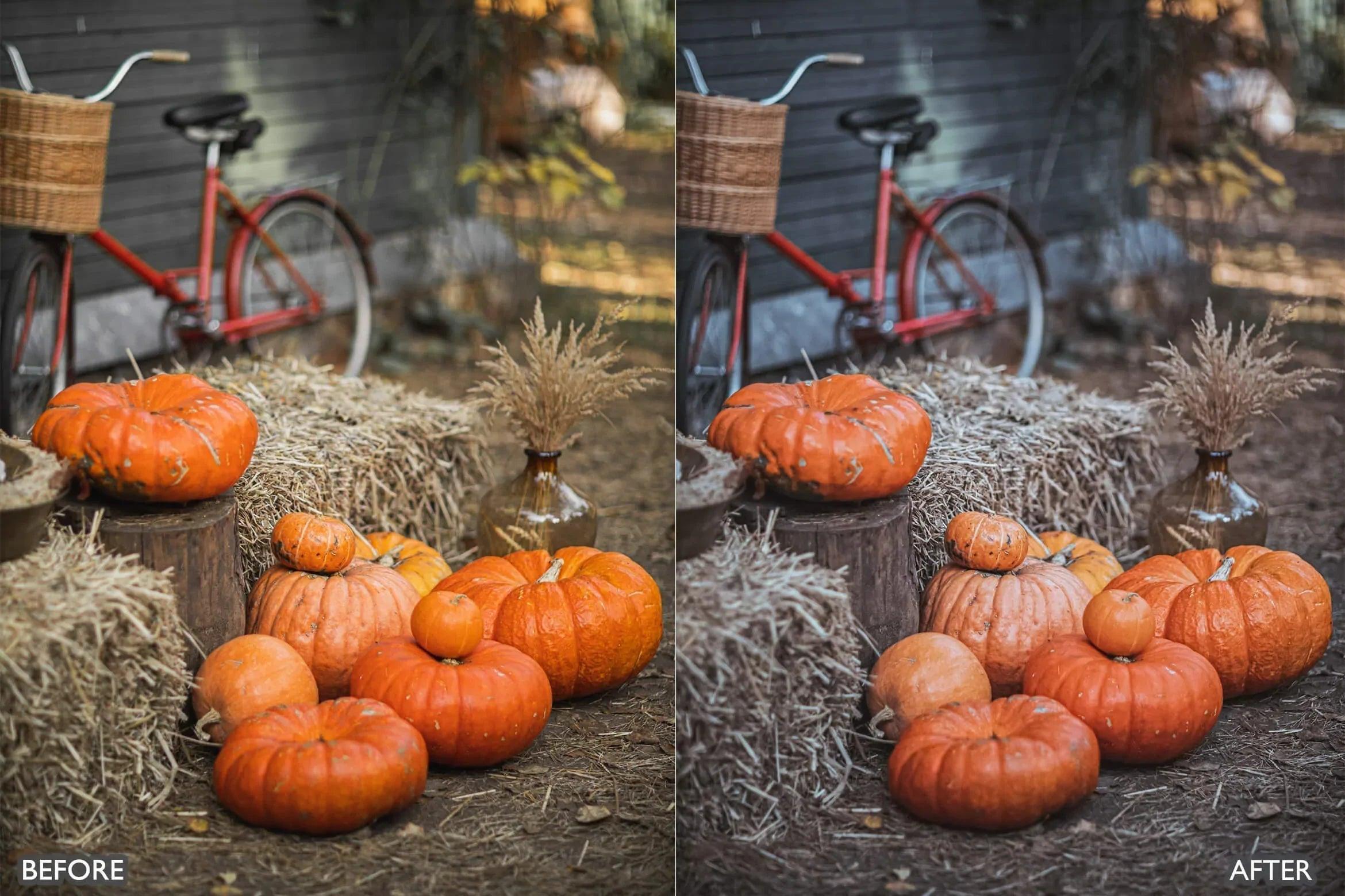 Halloween Autumn Fall Lightroom Presets - adobe lightroom presets, Blogger presets, brown presets, Cinematic Presets, cream presets, Fall Presets, instagram presets, lightroom presets, Minimalist presets, Portrait presets, presets before and after, professional lightroom presets - aaapresets.com