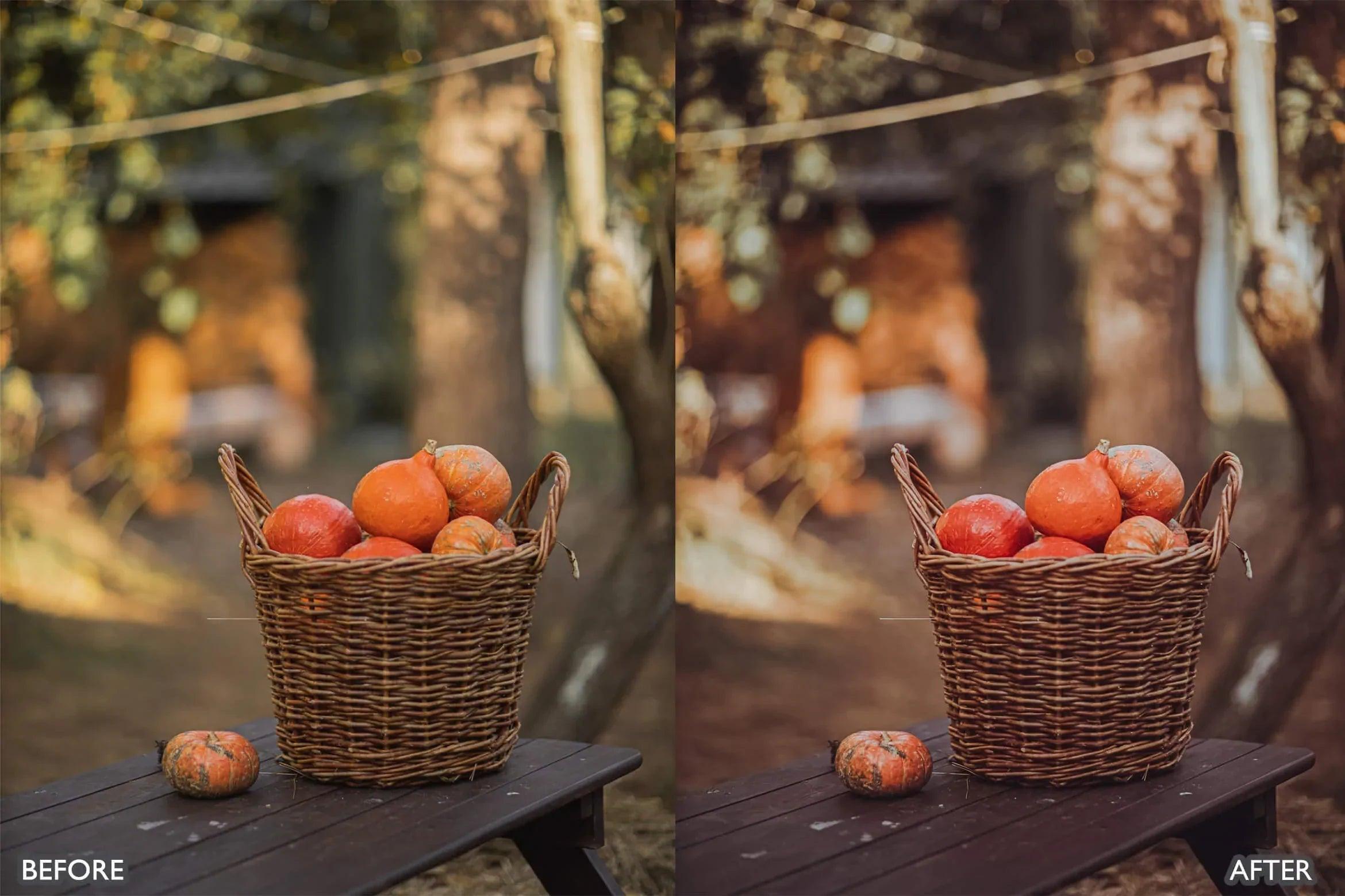 Halloween Autumn Fall Lightroom Presets - Lightroom Presets - by AAA Presets