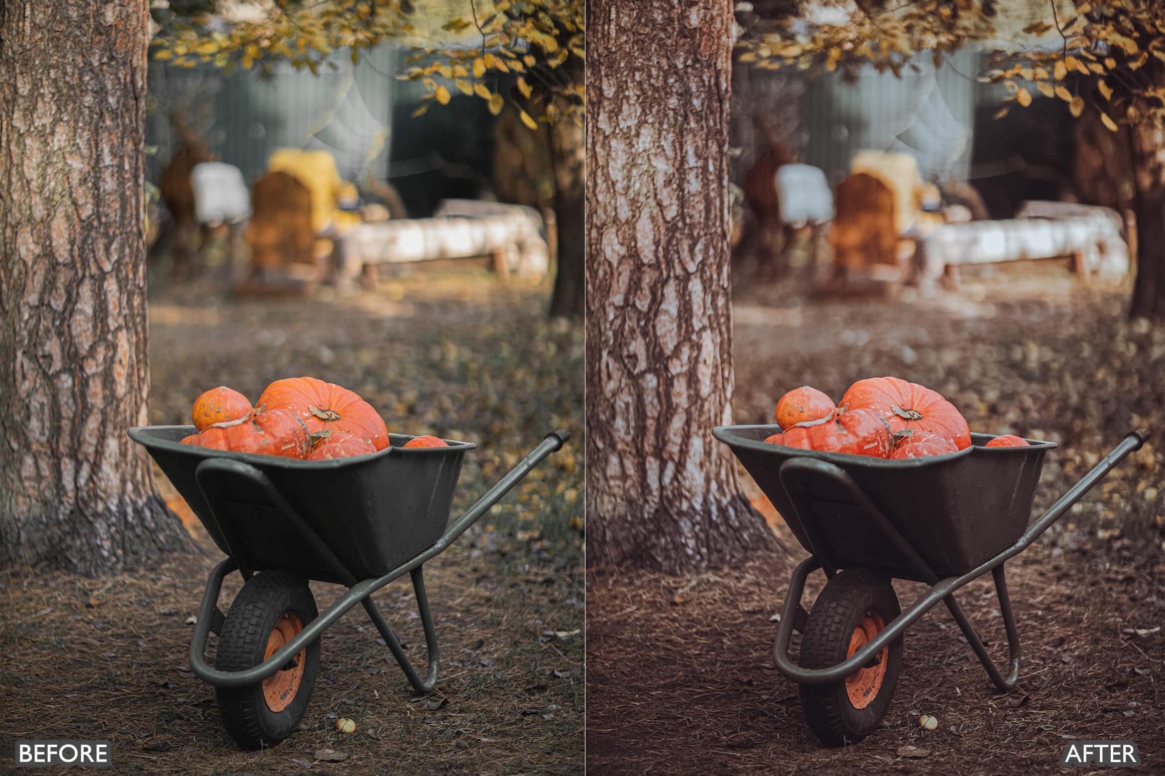 Halloween Autumn Fall Lightroom Presets - adobe lightroom presets, Blogger presets, brown presets, Cinematic Presets, cream presets, Fall Presets, instagram presets, lightroom presets, Minimalist presets, Portrait presets, presets before and after, professional lightroom presets - aaapresets.com