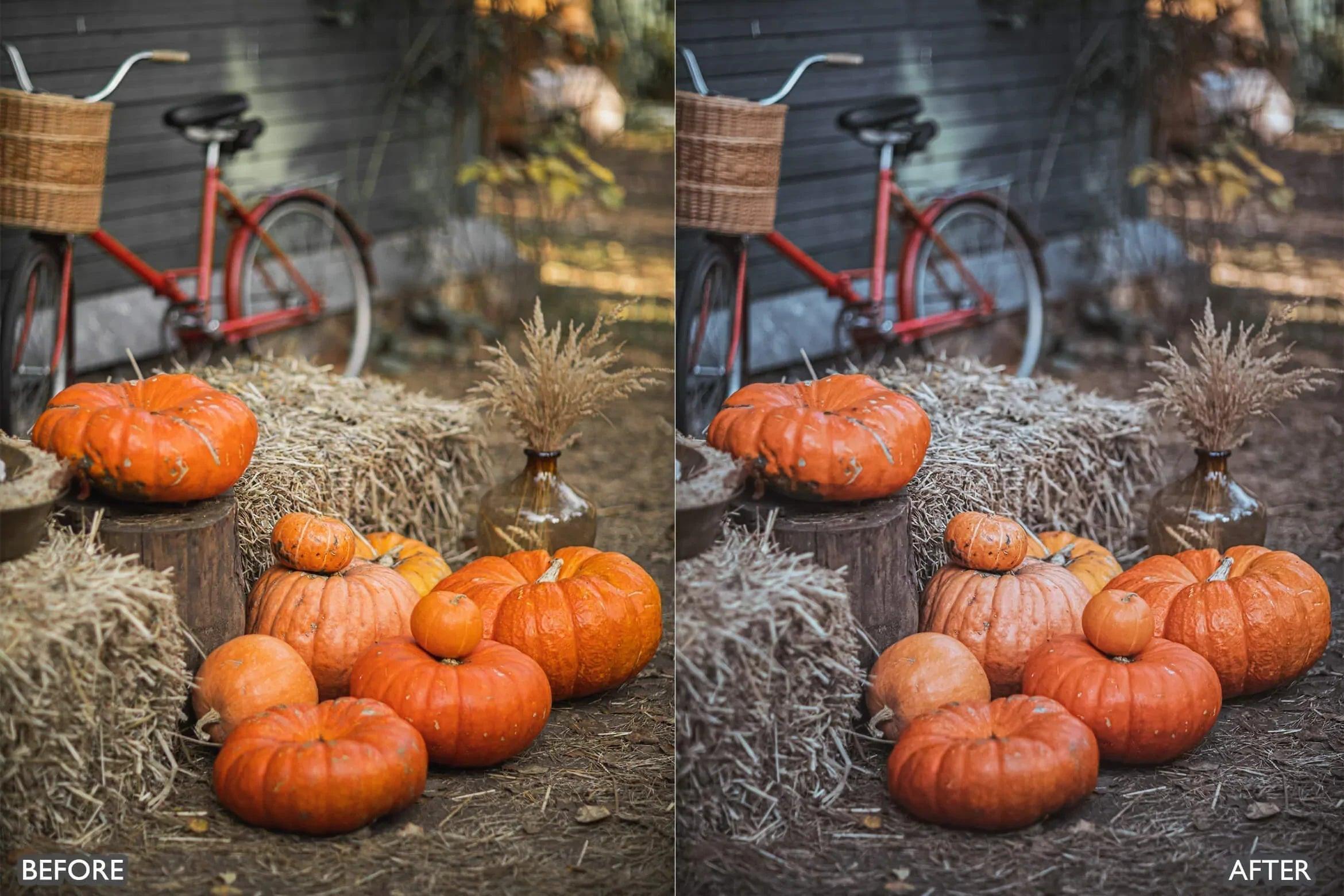 Halloween Autumn Fall Lightroom Presets - Lightroom Presets - by AAA Presets