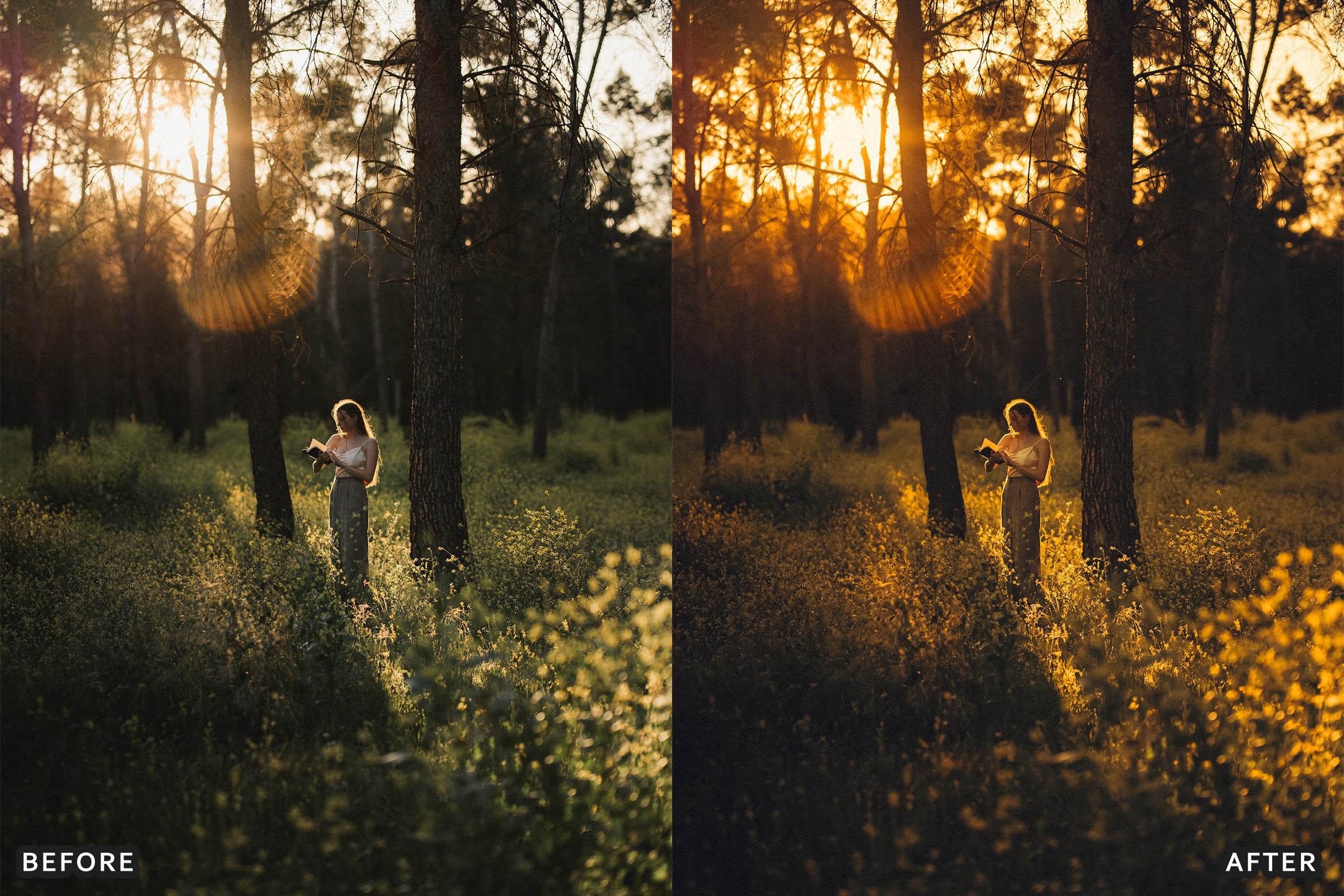 Honey Golden Hour Lightroom Presets - Lightroom Presets - by AAA Presets