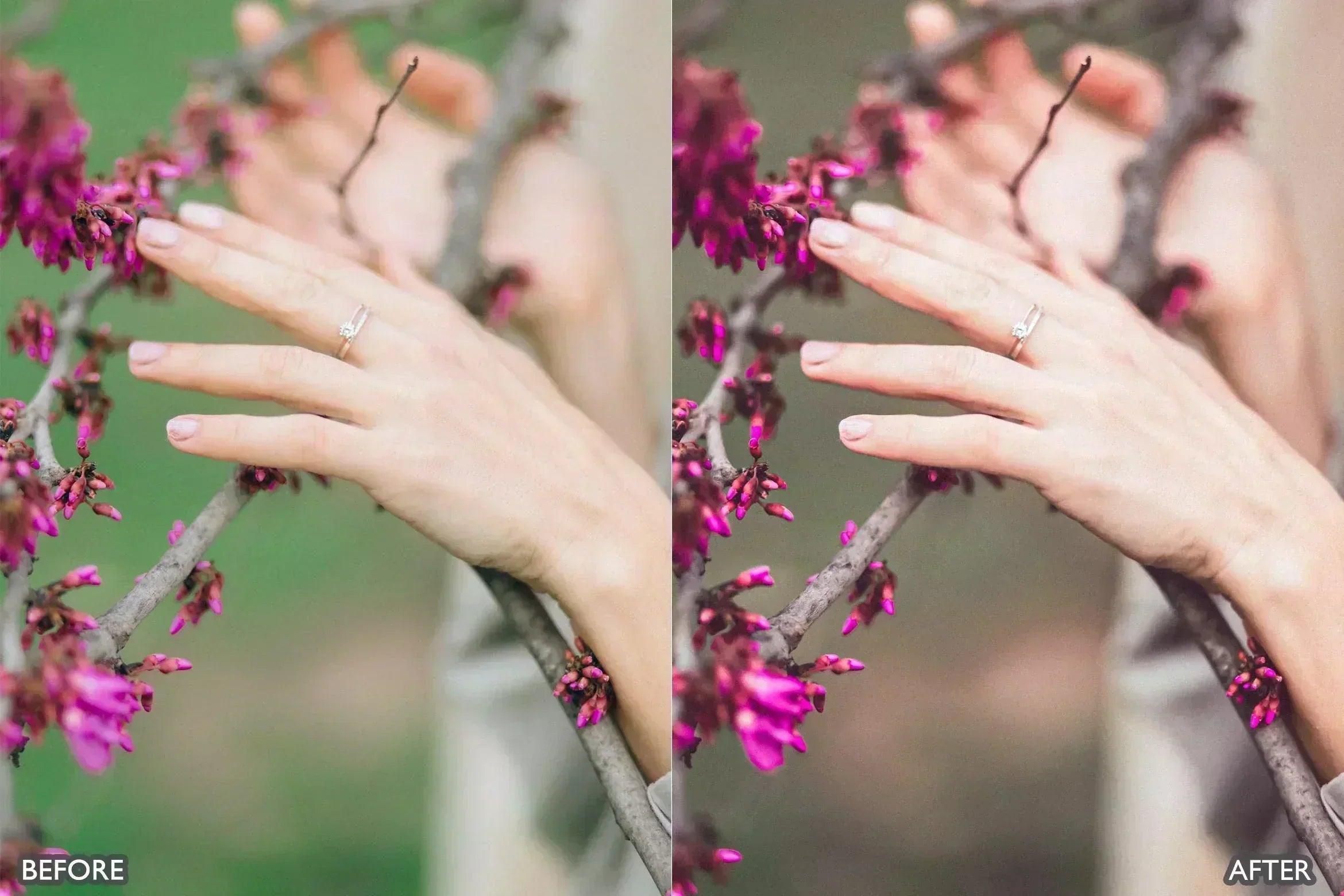 Insta Green Lightroom Presets - Lightroom Presets - by AAA Presets