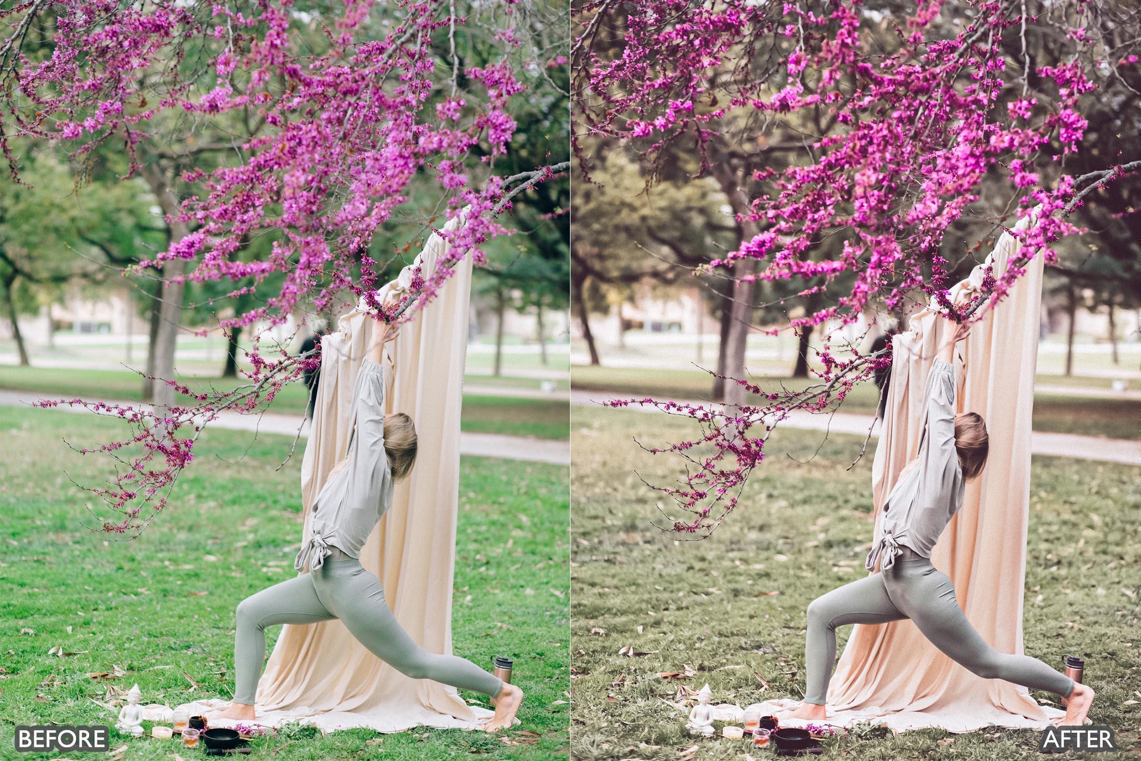 Insta Green Lightroom Presets - Lightroom Presets - by AAA Presets