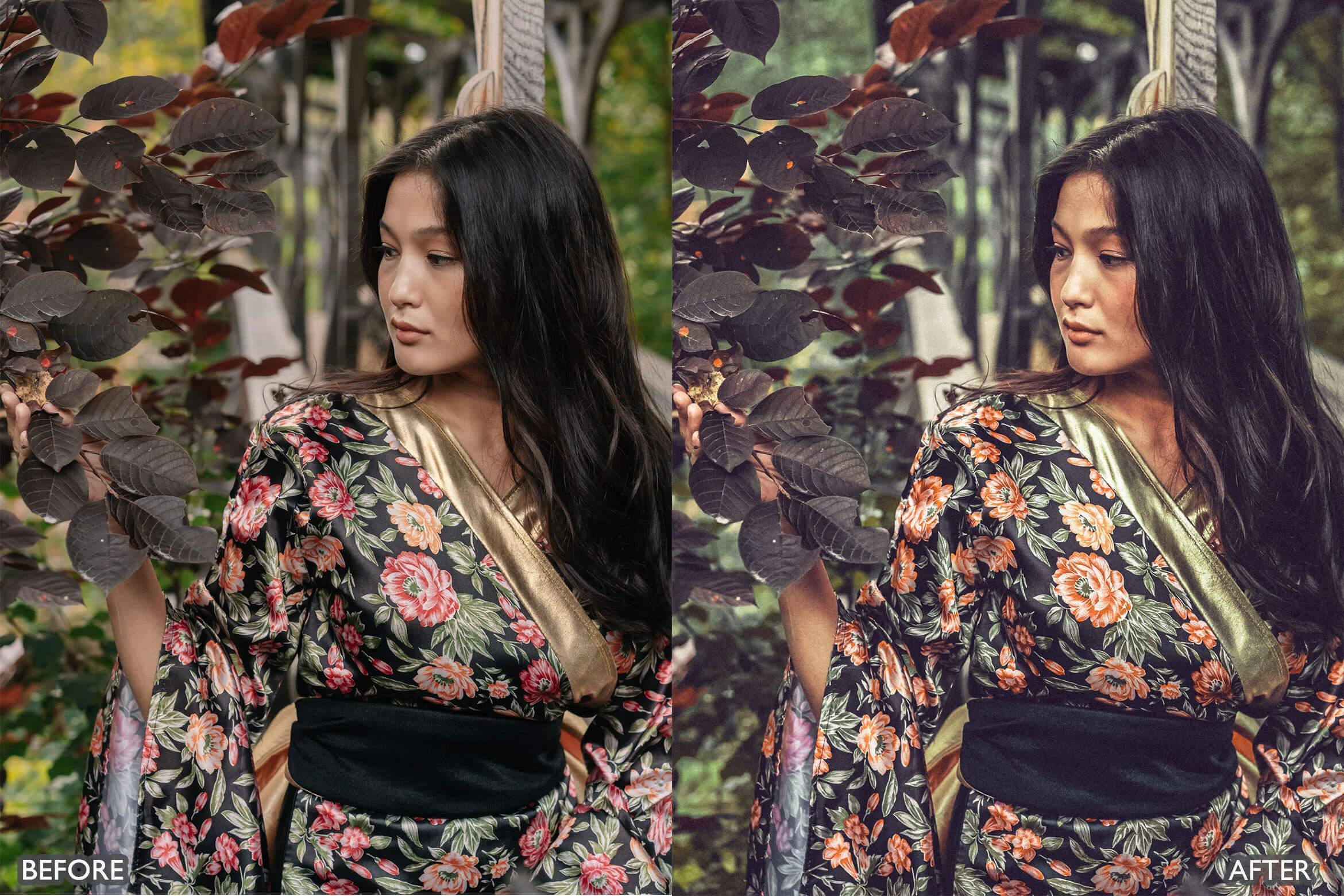 Japan Tones Cinematic Lightroom Presets - Lightroom Presets - by AAA Presets