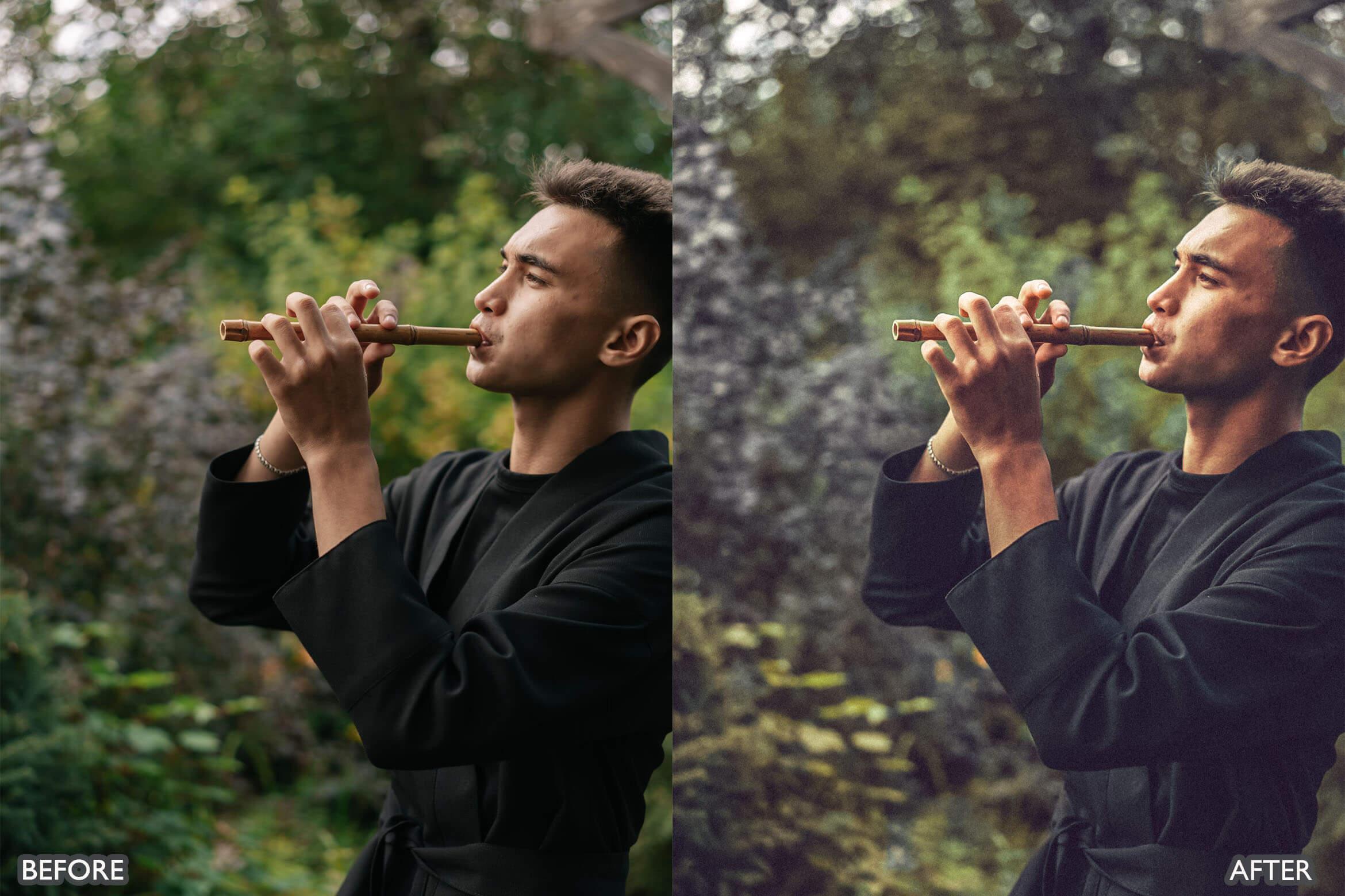 Japan Tones Cinematic Lightroom Presets - Lightroom Presets - by AAA Presets