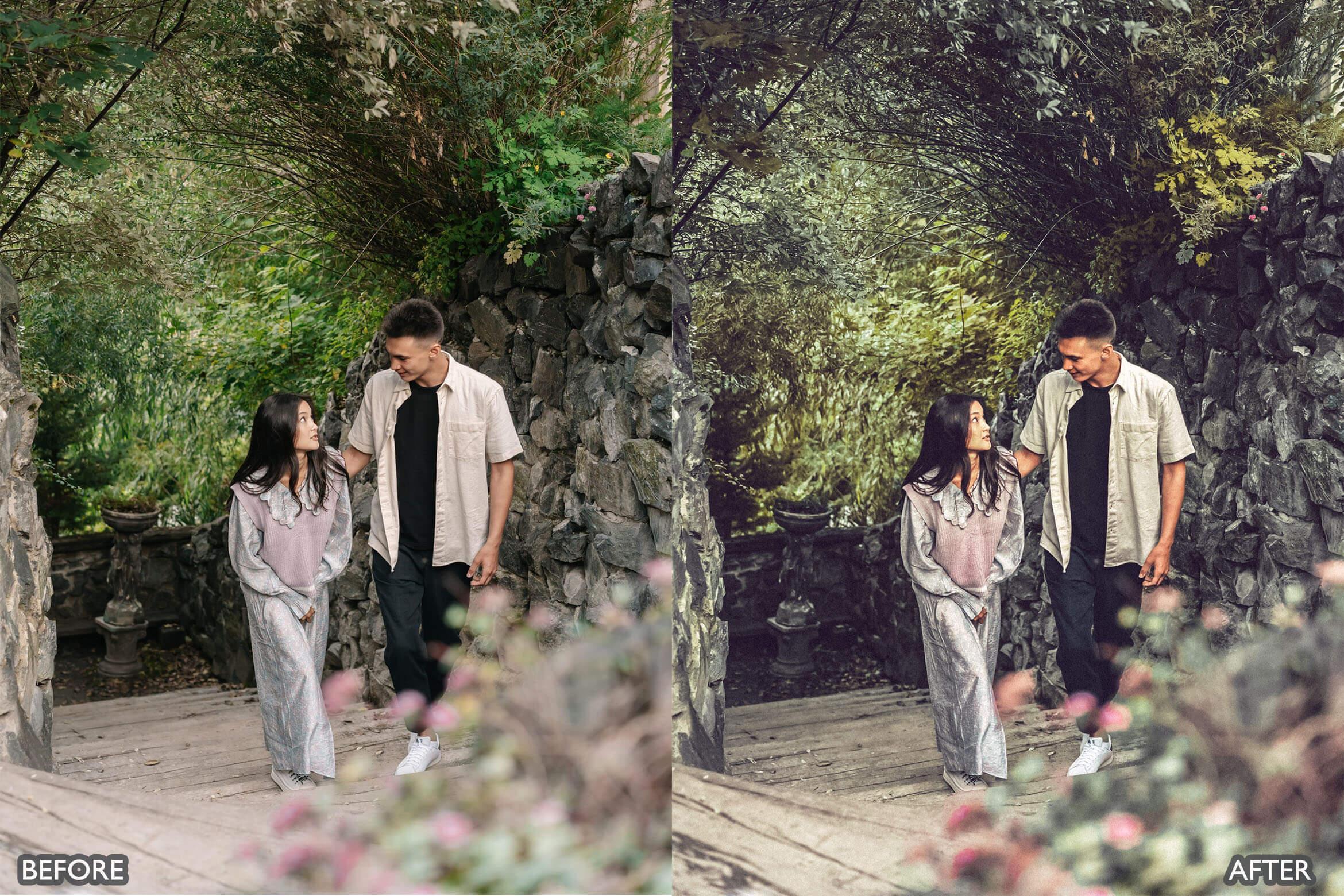 Japan Tones Cinematic Lightroom Presets - Lightroom Presets - by AAA Presets