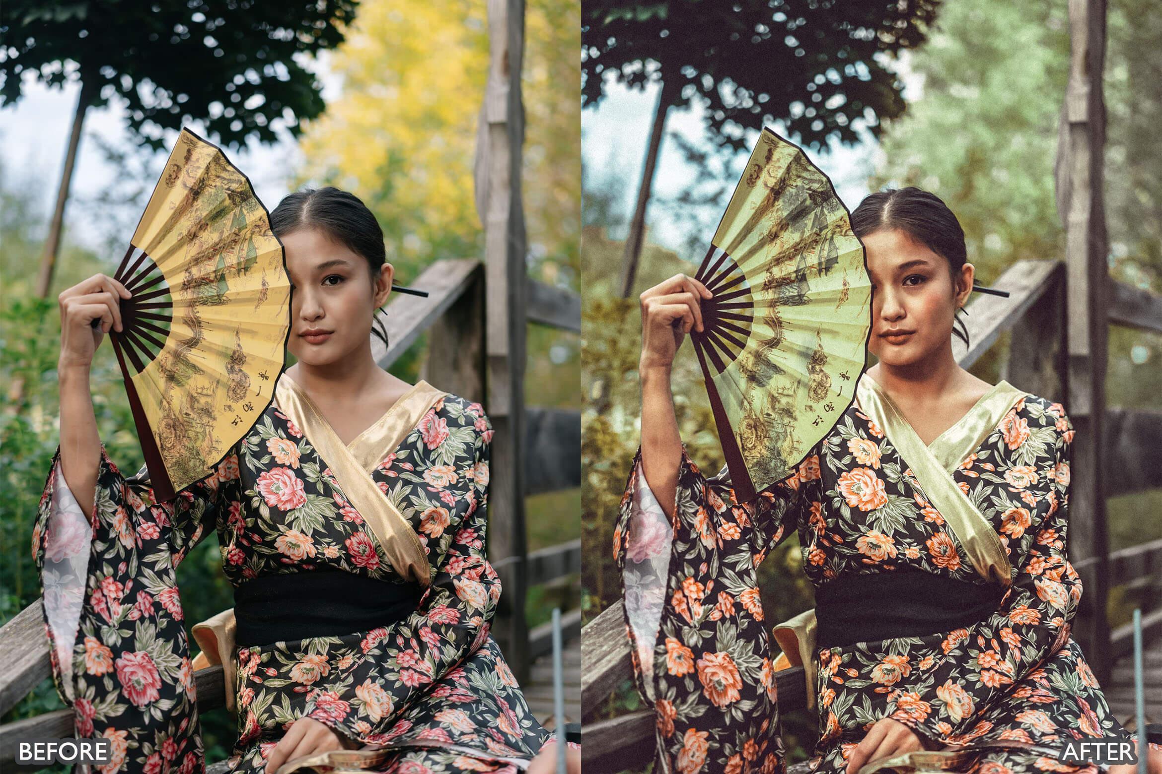 Japan Tones Cinematic Lightroom Presets - Lightroom Presets - by AAA Presets